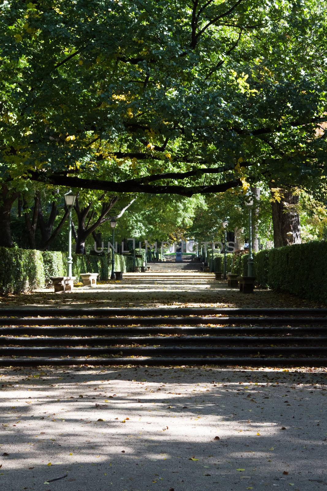 An alley in a park in the center of Madrid