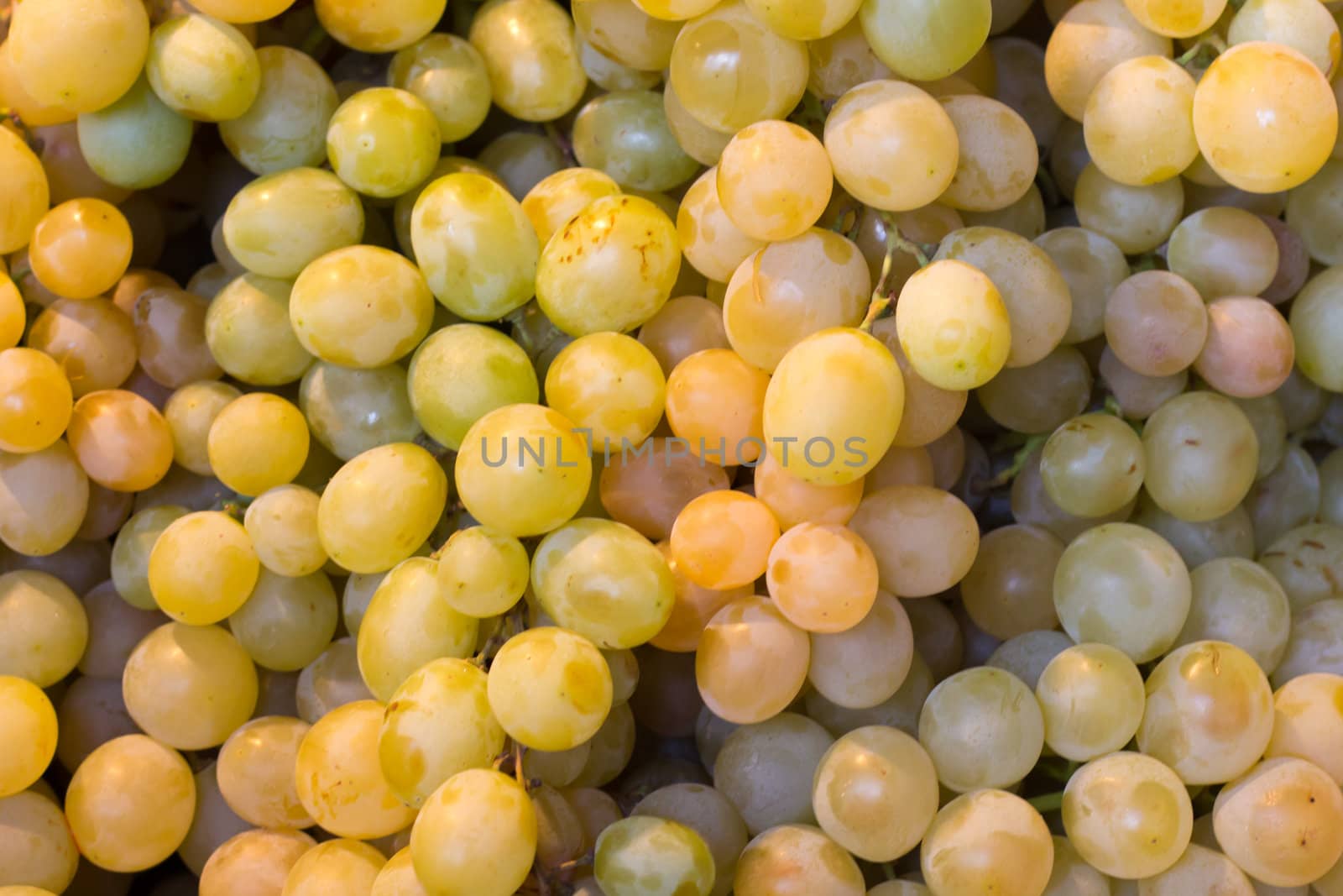 A box of fresh spanish grapes on a market in Madrid