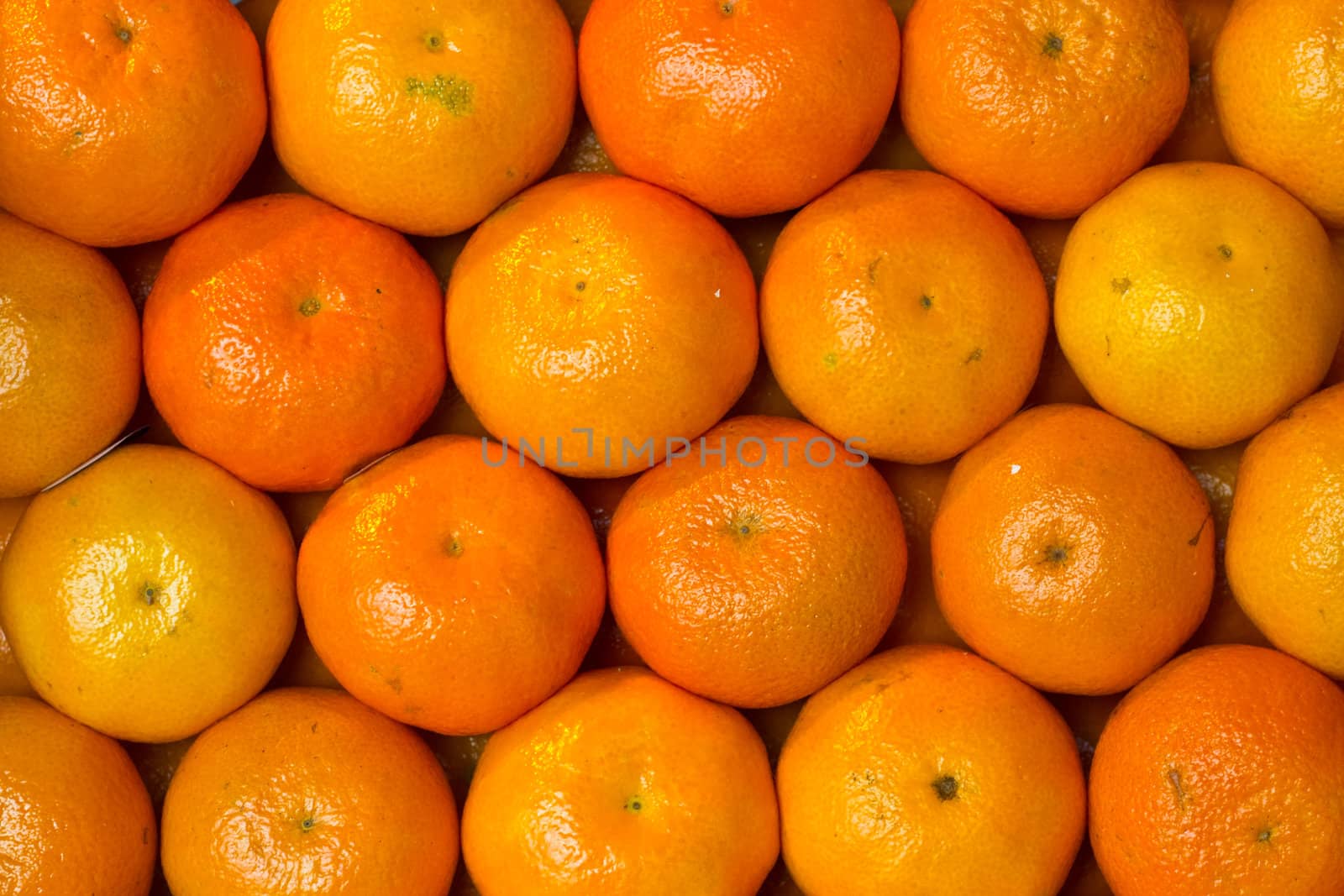 A box of fresh oranges