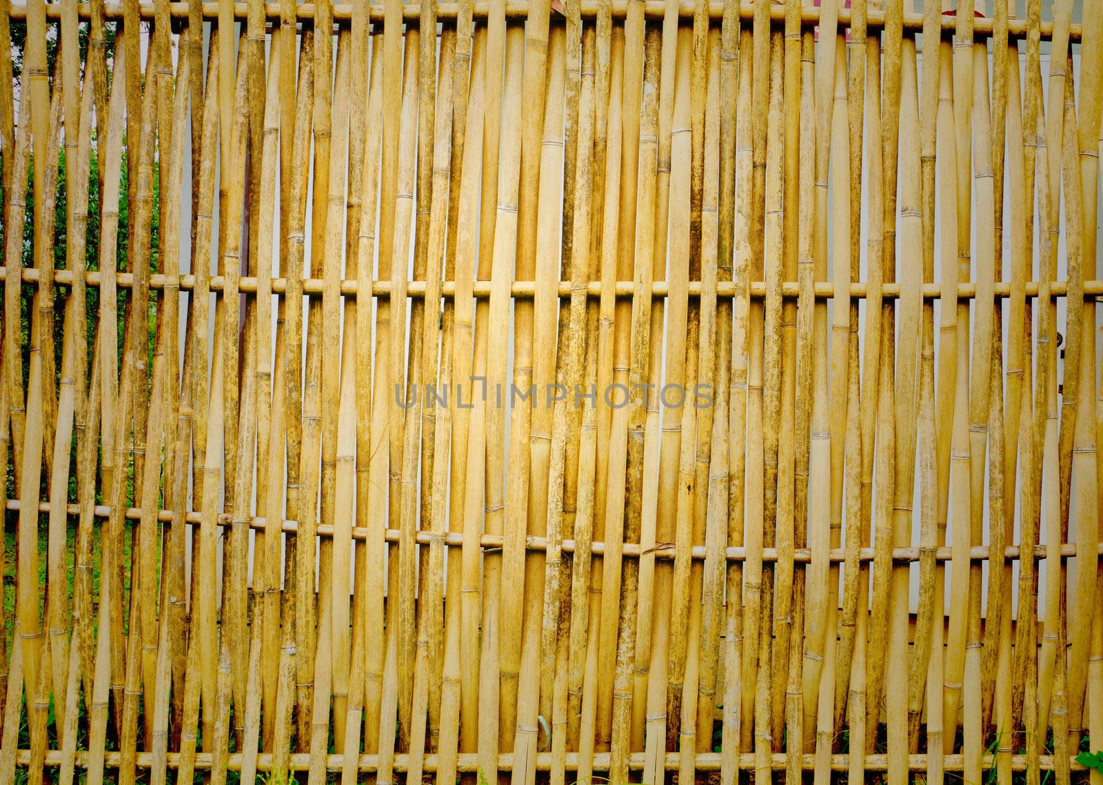 old, grunge bamboo
 wall used as background







old, grunge wooden wall used as background