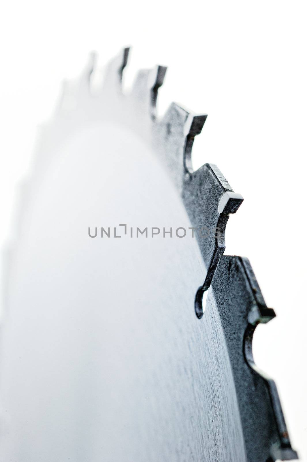 Circular saw blade isolated over a white background