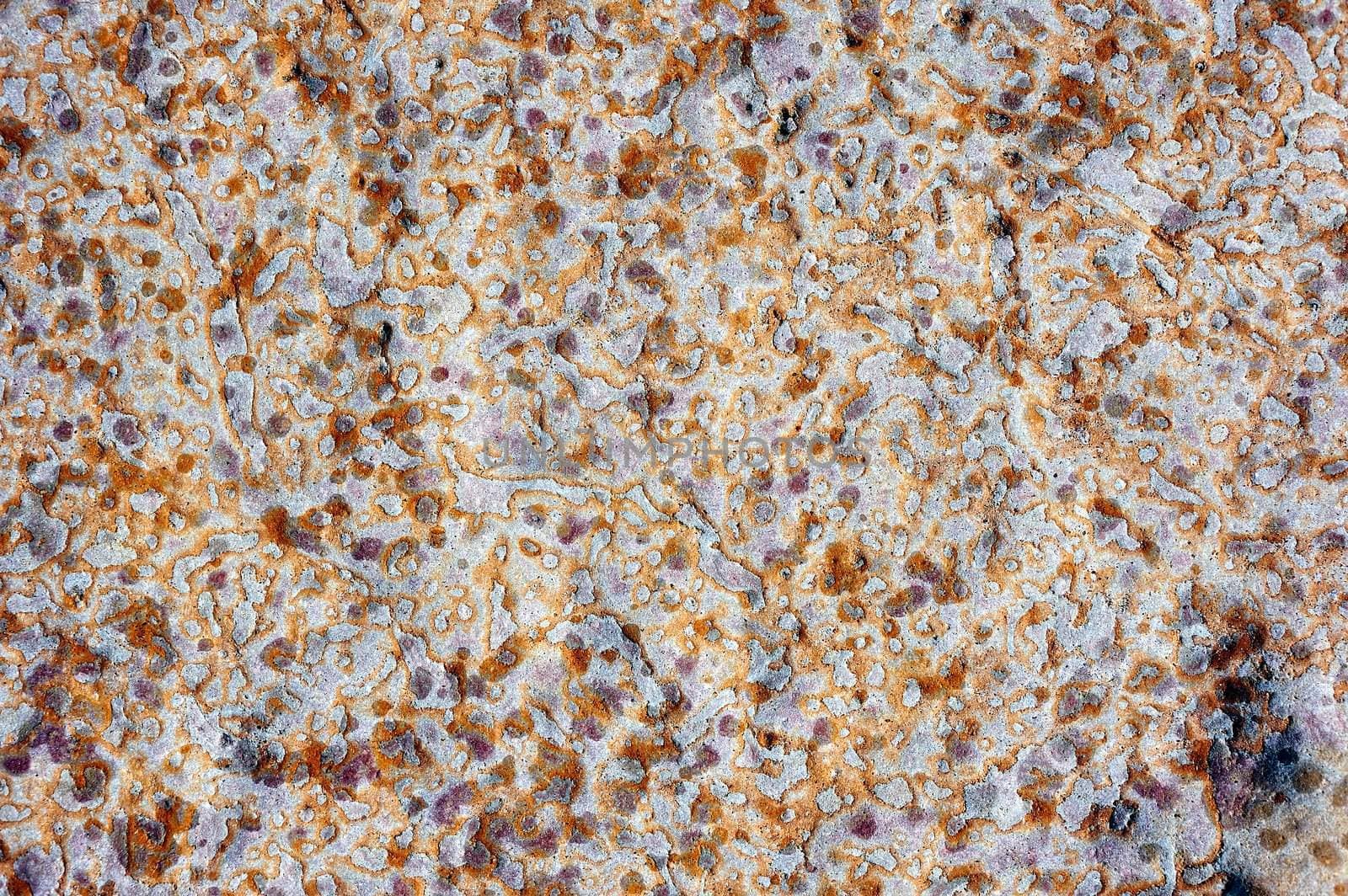 Surface boulder with an unusual texture