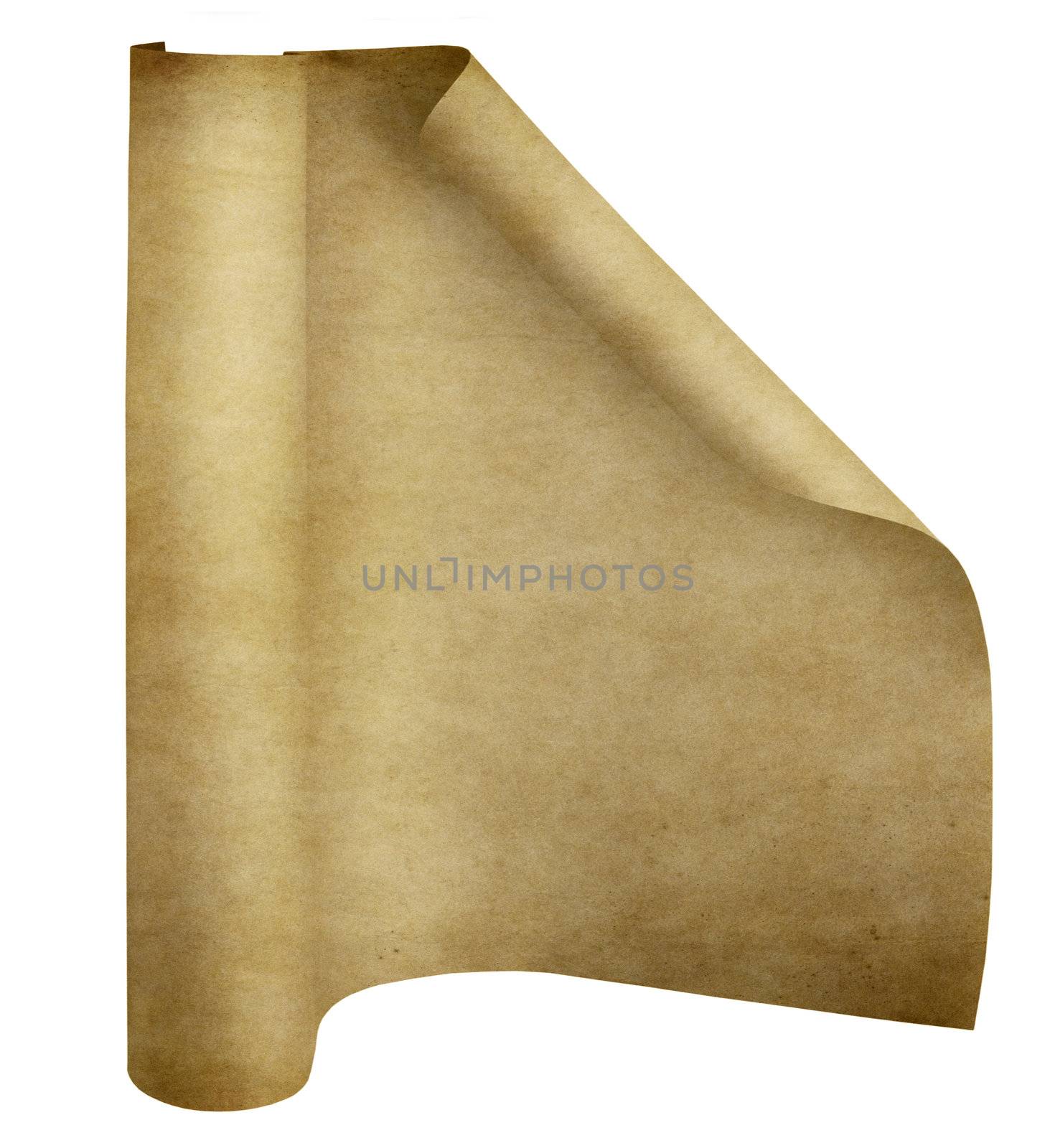 old parchment scroll by clearviewstock