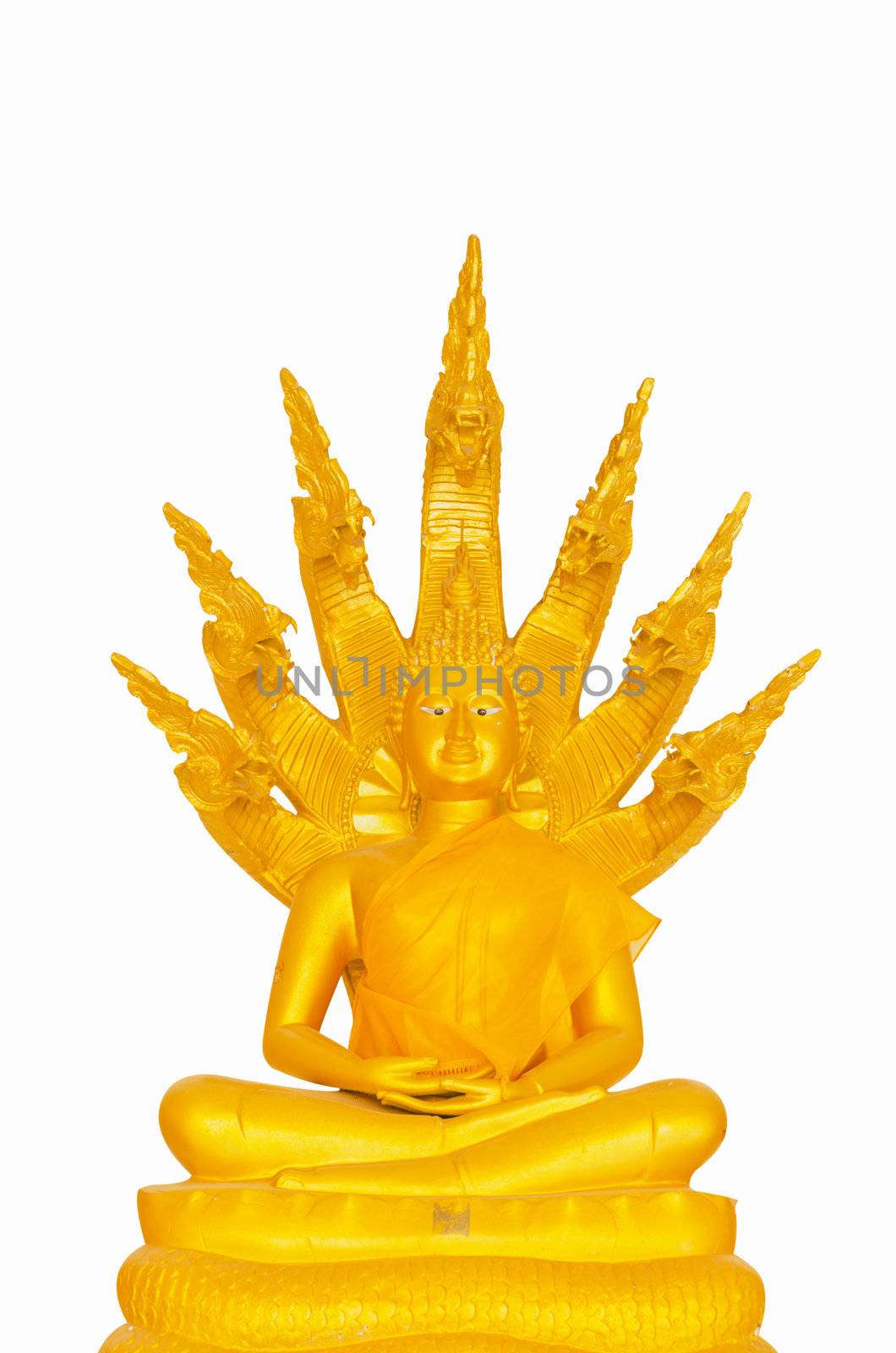 Beautiful Buddha image in Thailand a white background