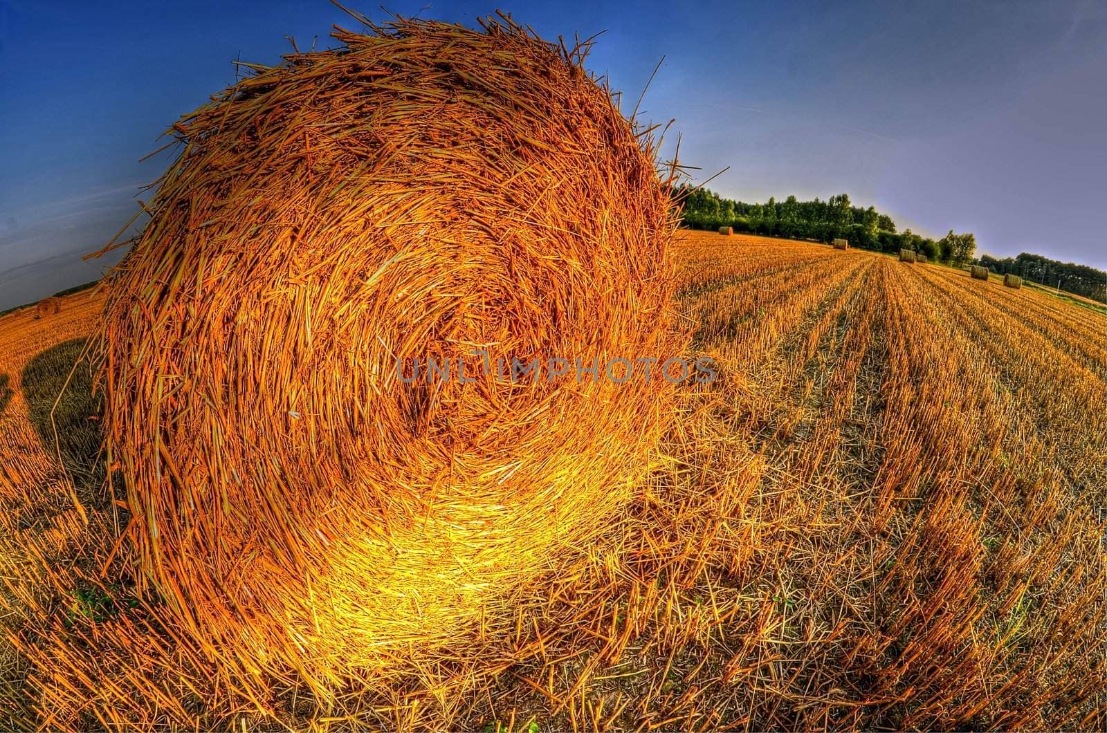 This photo present bales of straw after harvest grain at sunset.