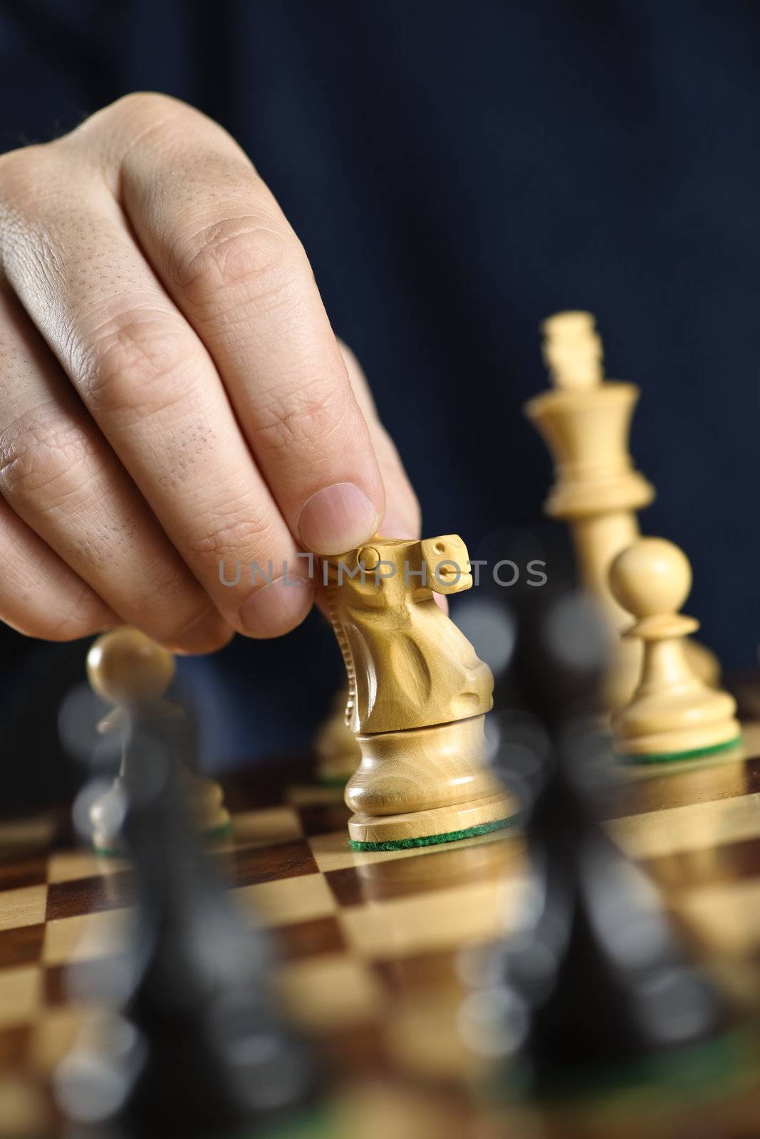 Hand moving knight on chess board by elenathewise