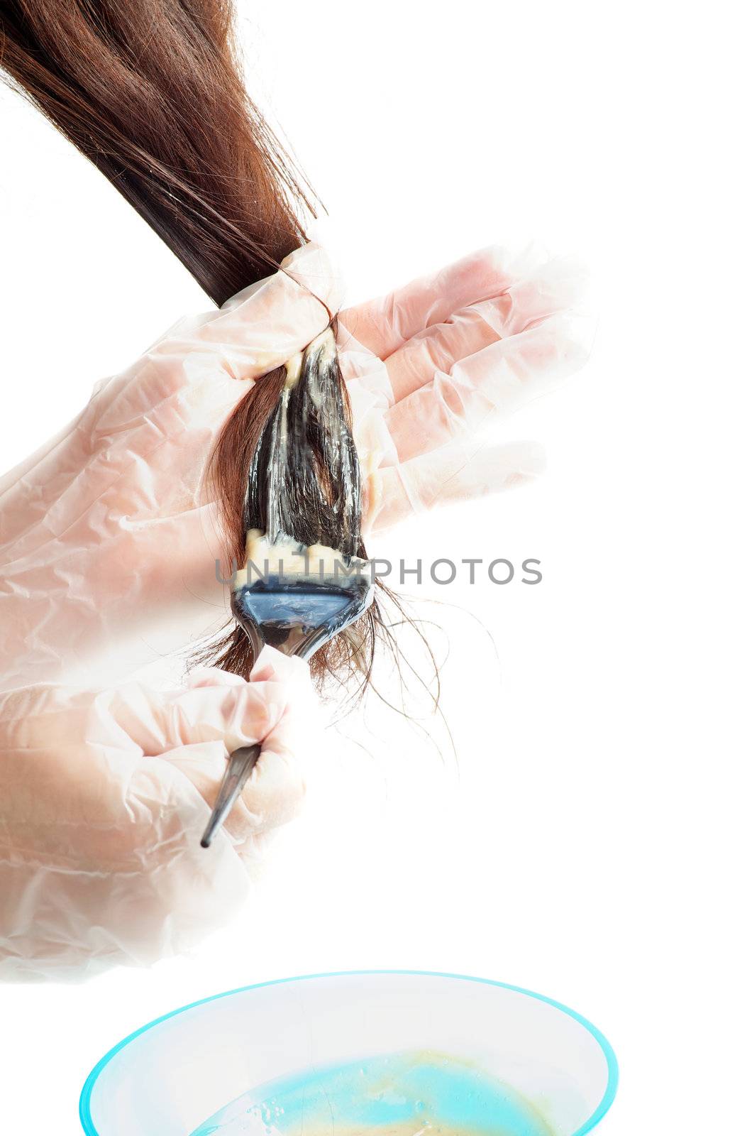 Hands in Protective Gloves  Applies Paintbrush on Hair Dye closeup on white background