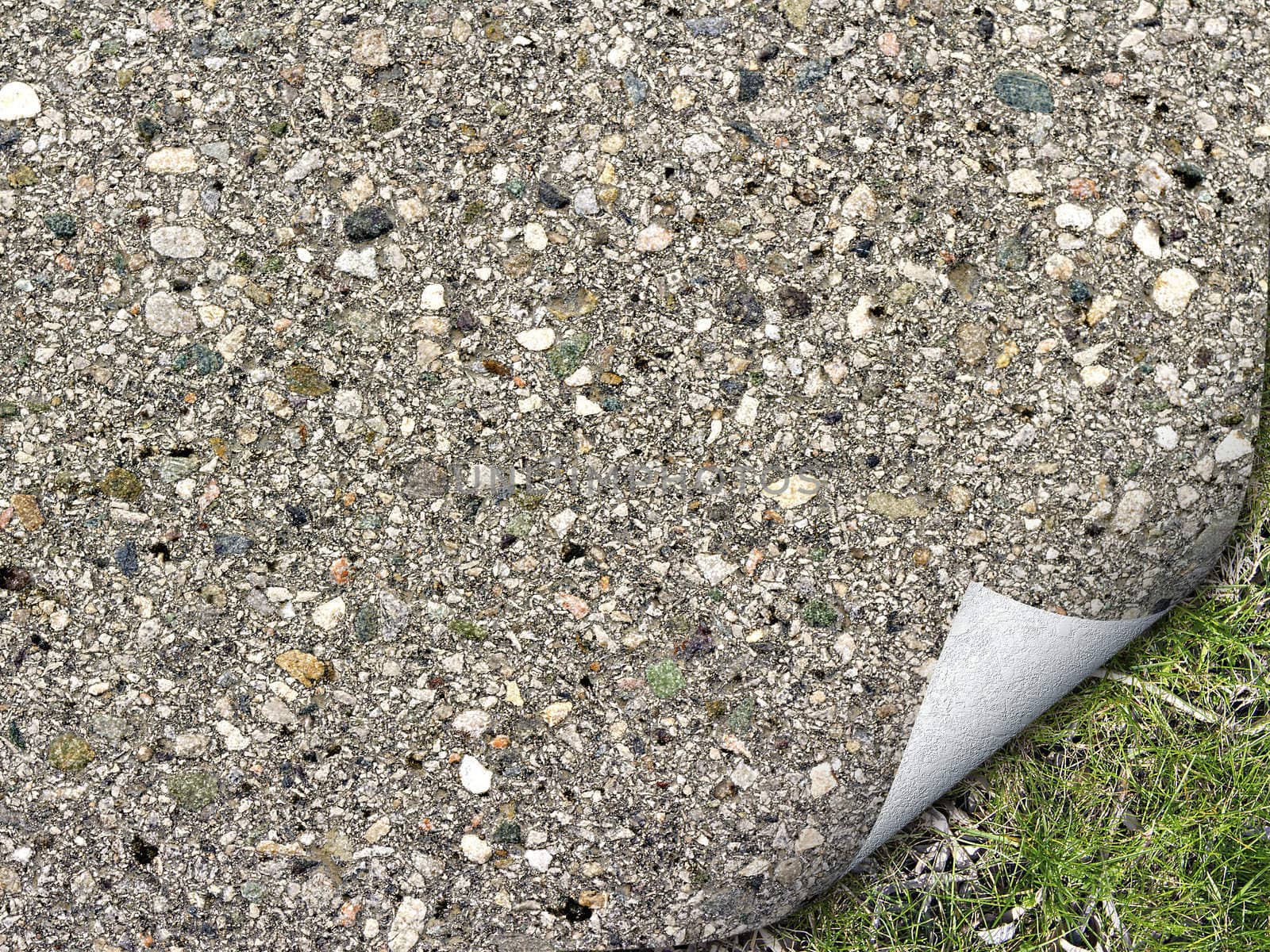 bead old asphalt with green grass under him