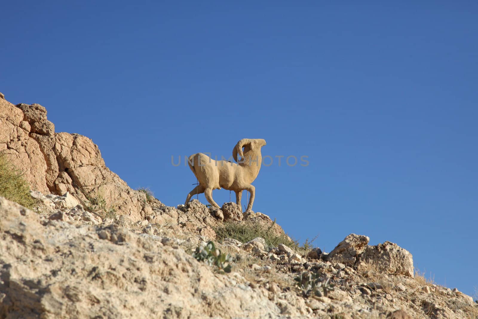 Monument of sheep, Sahara, Chebika, Tunisia