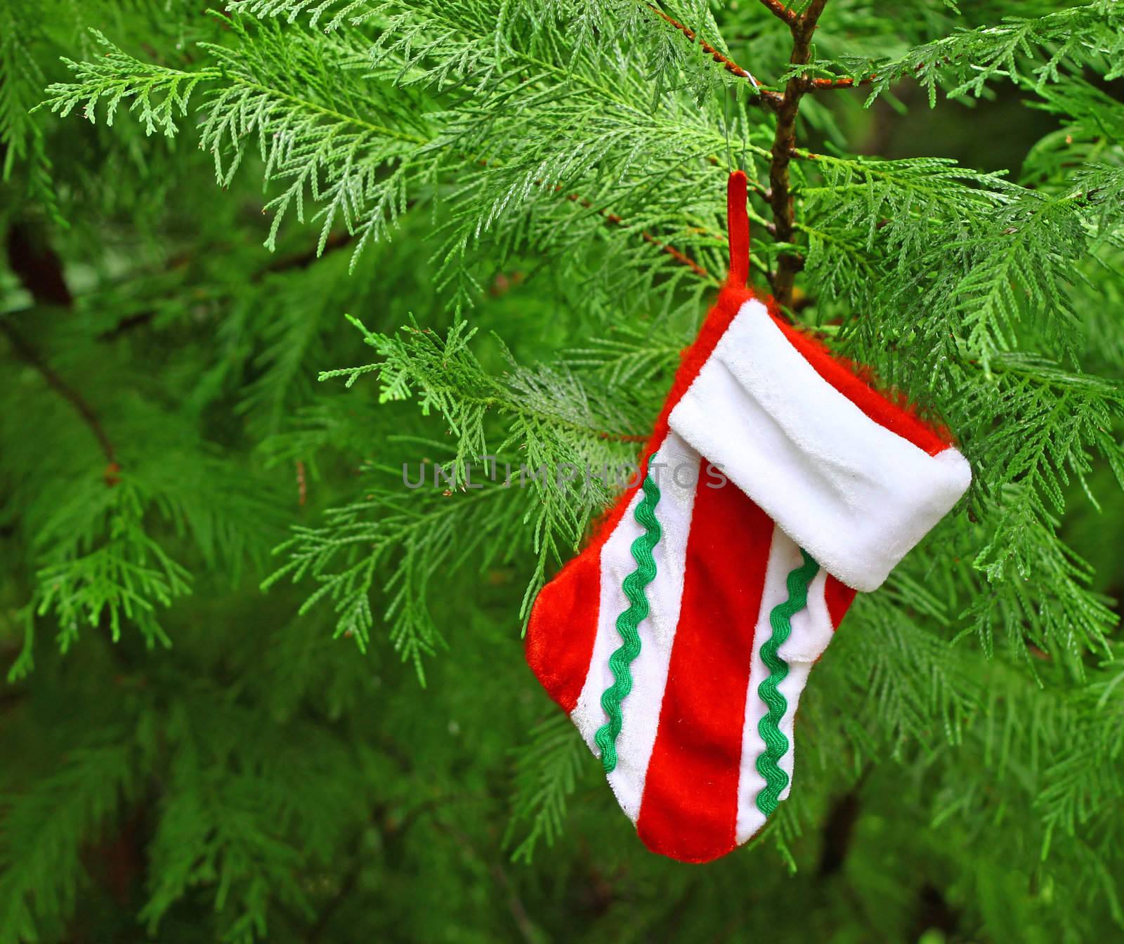 A Christmas Stocking hanging from a Christmas tree with room for your text.