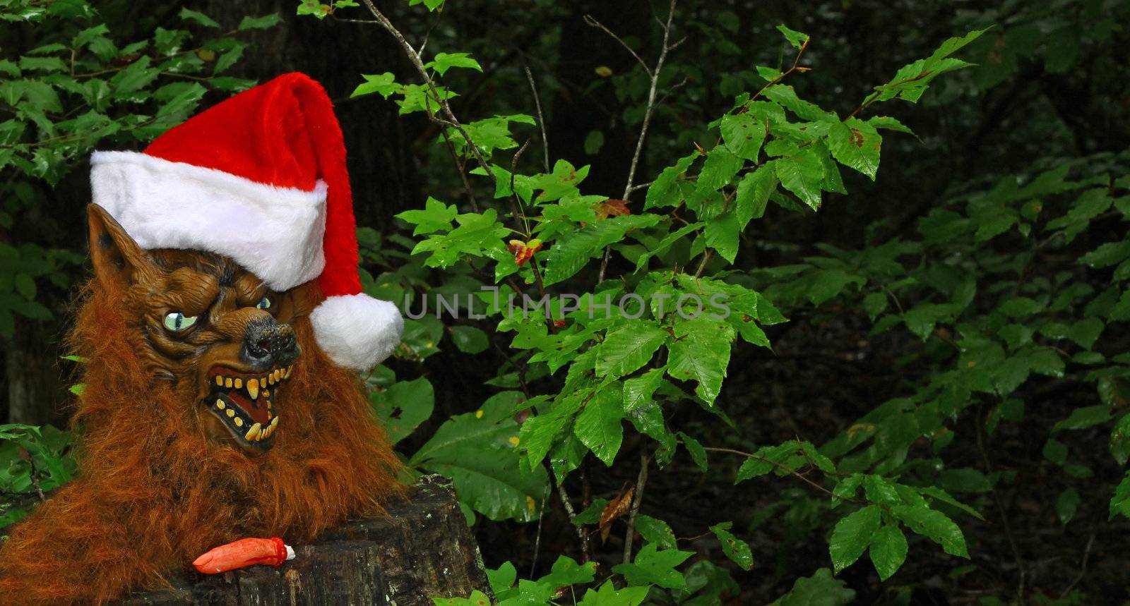 A Werewolf celebrating the Holidays and finishing his meal in the woods with room for your text
