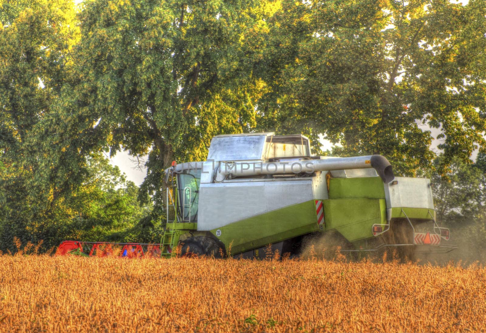 This photo present harvester collects corn on the field HDR.