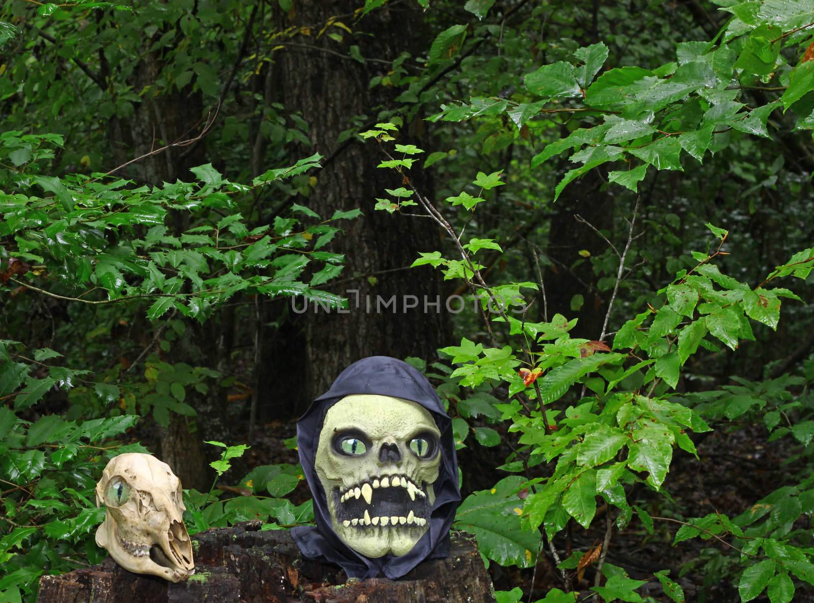 The Grim Reapers head arising from a stump in the woods along side of a Deer Skull with room for your text.