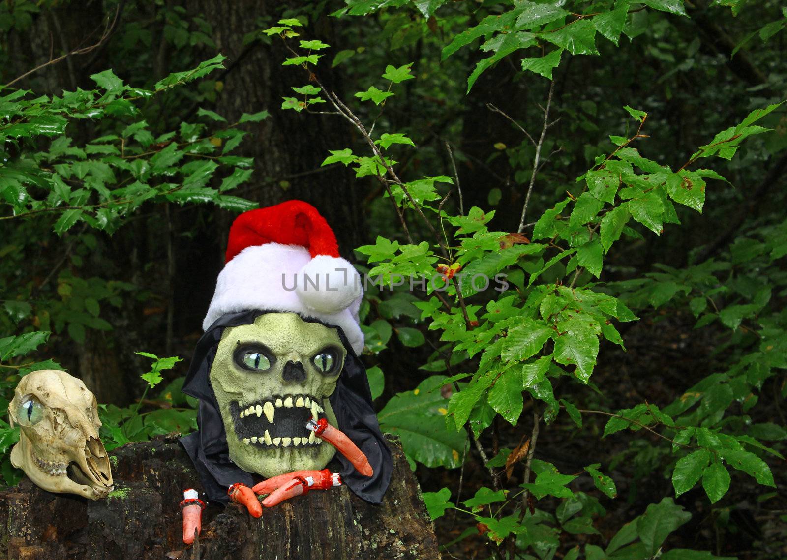 The Grim Reapers head arising from a stump in the woods along side of a Deer Skull celebrating Christmas and the Holiday season with room for your text.