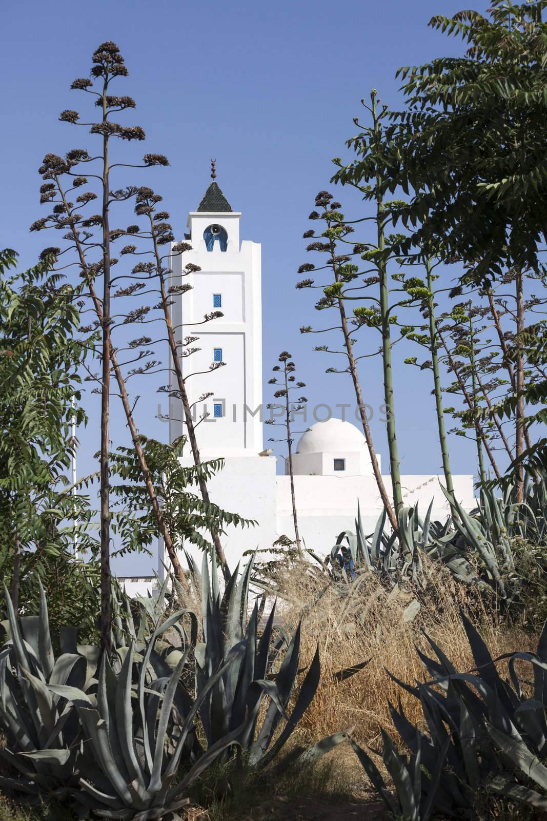 Minaret of Sidi Bou Said Mosque in local traditional colours. Photo taken in suburb of Tunis - capital city of Tunisia