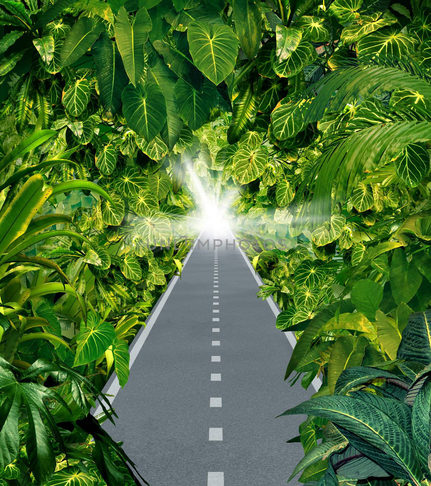 Escape the jungle as a business symbol of escaping the chaos and dangers of city life with a road through a dark thick tropical forest leading to a beaming light of hope out of the hazardous wilderness.