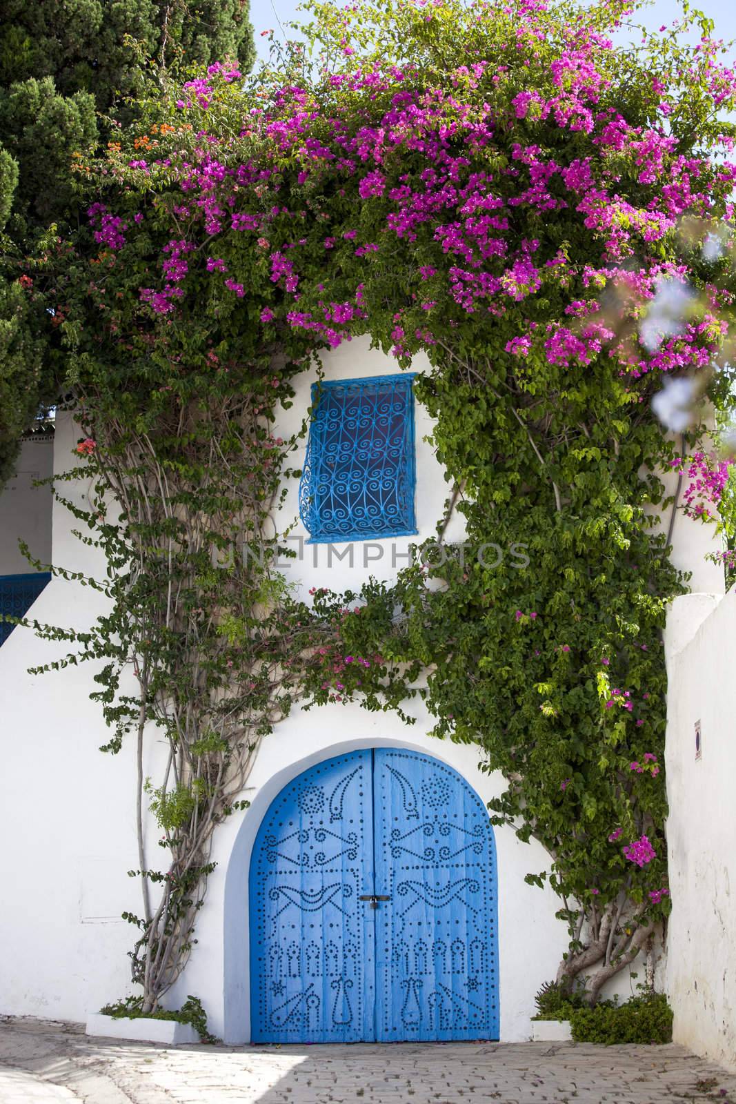 Blue doors, window and white wall of traditional building in Sidi Bou Said, Tunisia