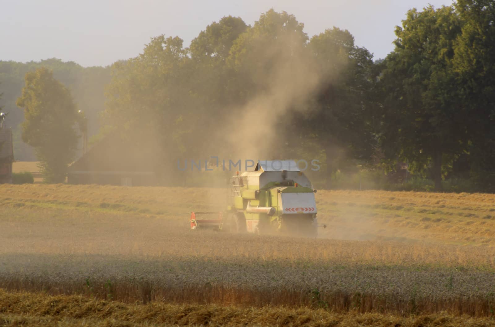 Harvester collects corn by PRSchreyner
