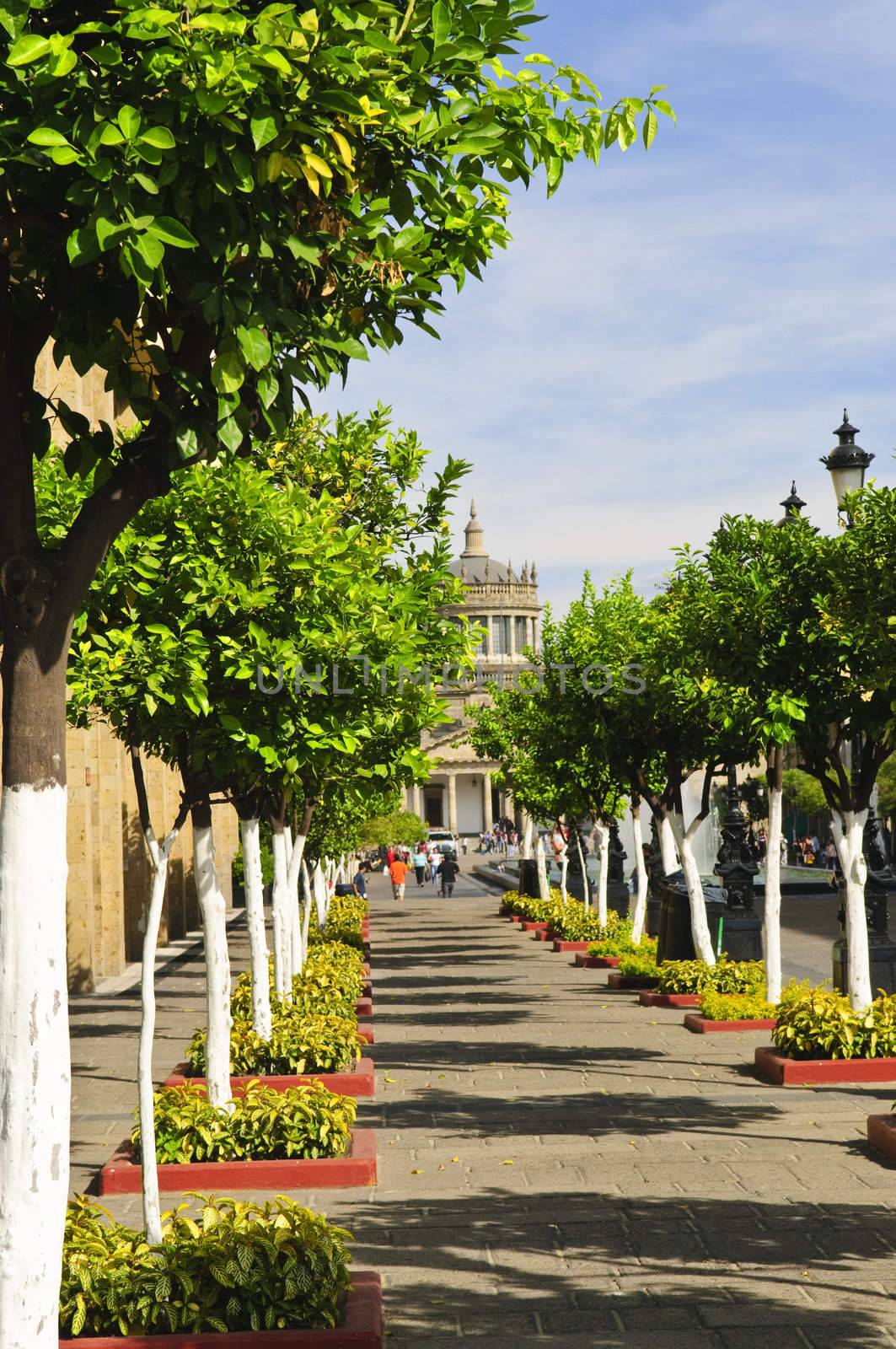 Plaza Tapatia leading to Hospicio Cabanas in Guadalajara, Jalisco, Mexico by elenathewise