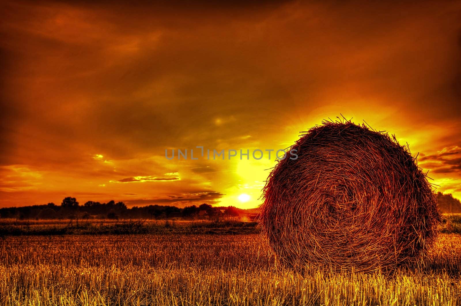 Bales of straw after harvest grain at sunset by PRSchreyner