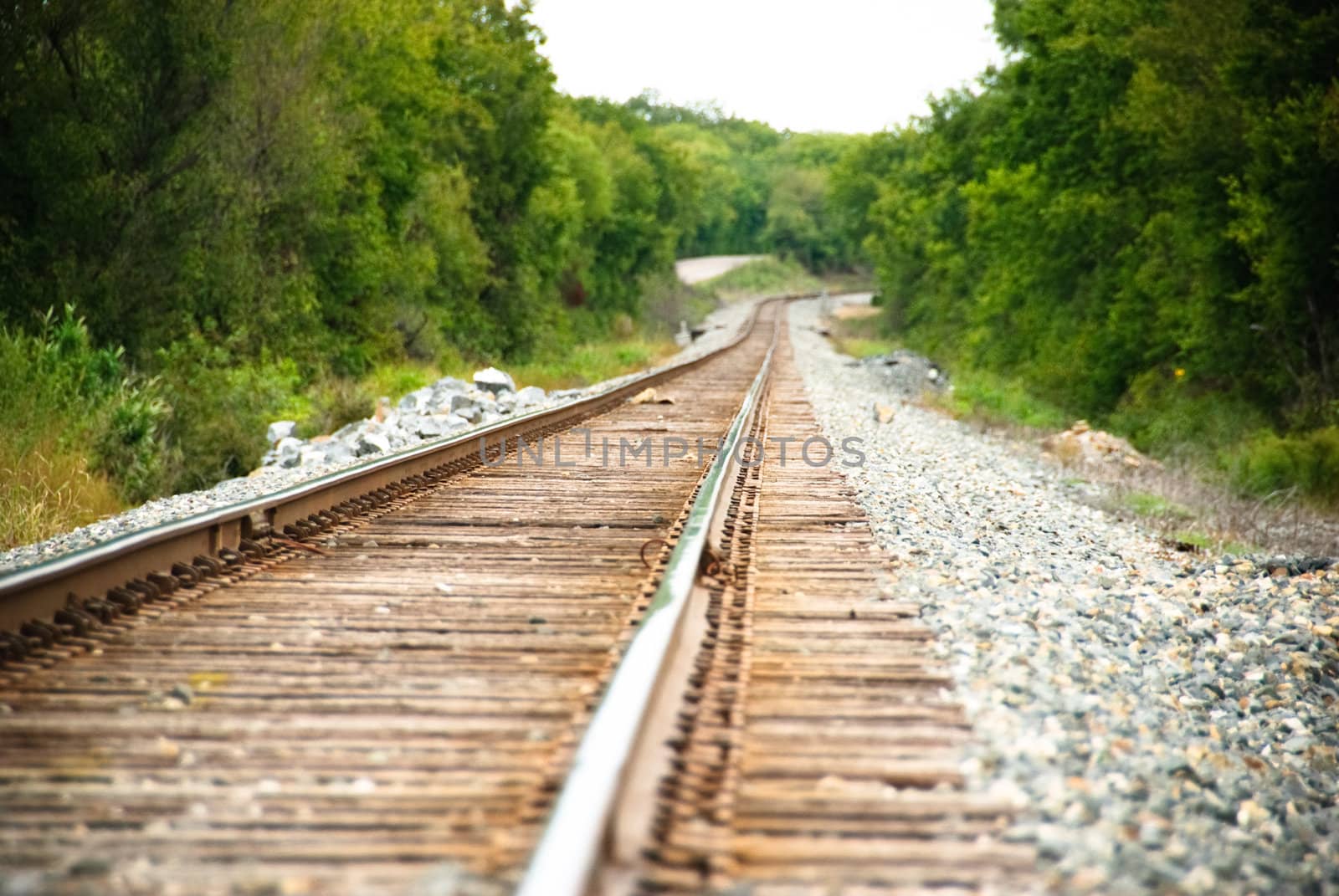 Railway tracks on a sunny day.