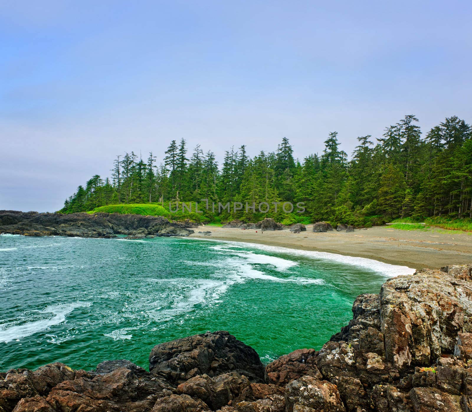 Coast of Pacific ocean in Canada by elenathewise