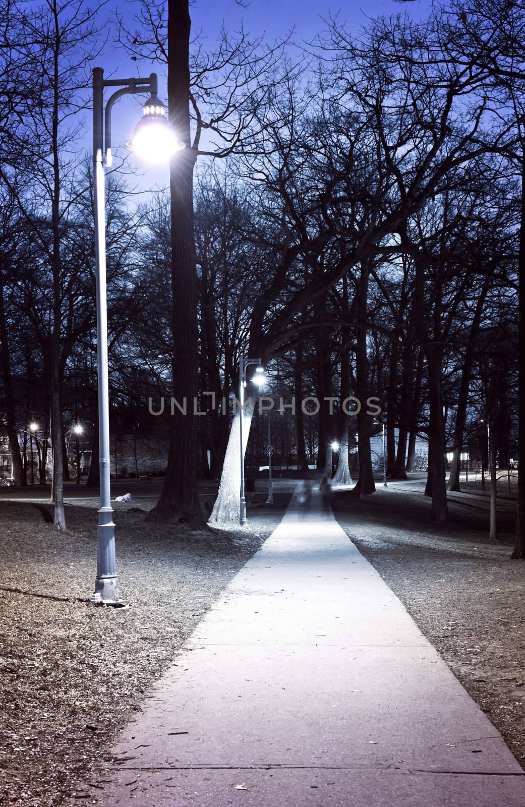 Park path at night by elenathewise