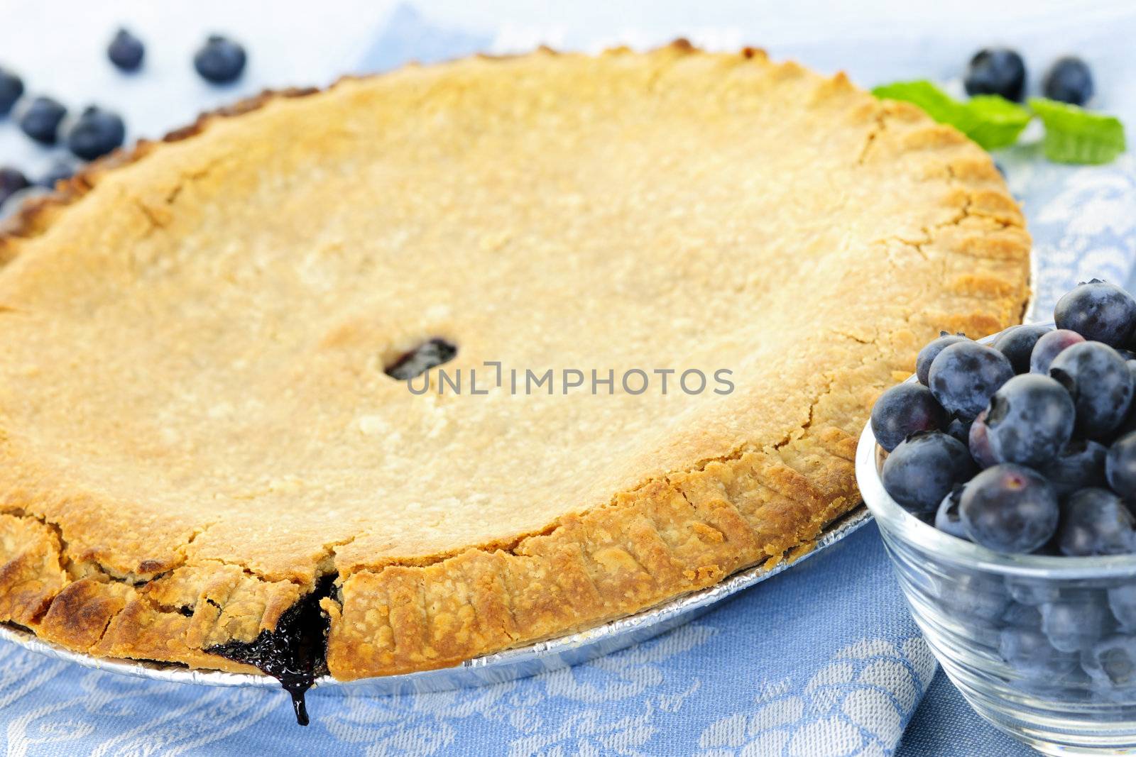 Blueberry pie by elenathewise