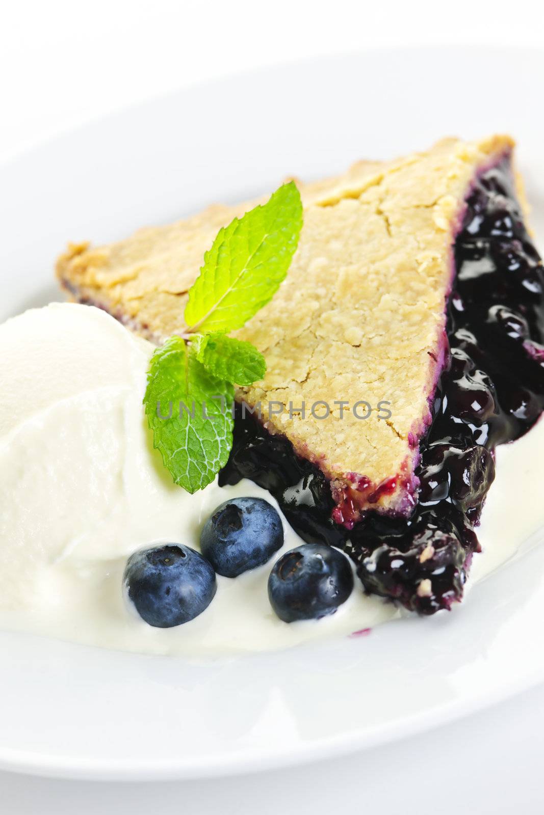 Blueberry pie slice by elenathewise