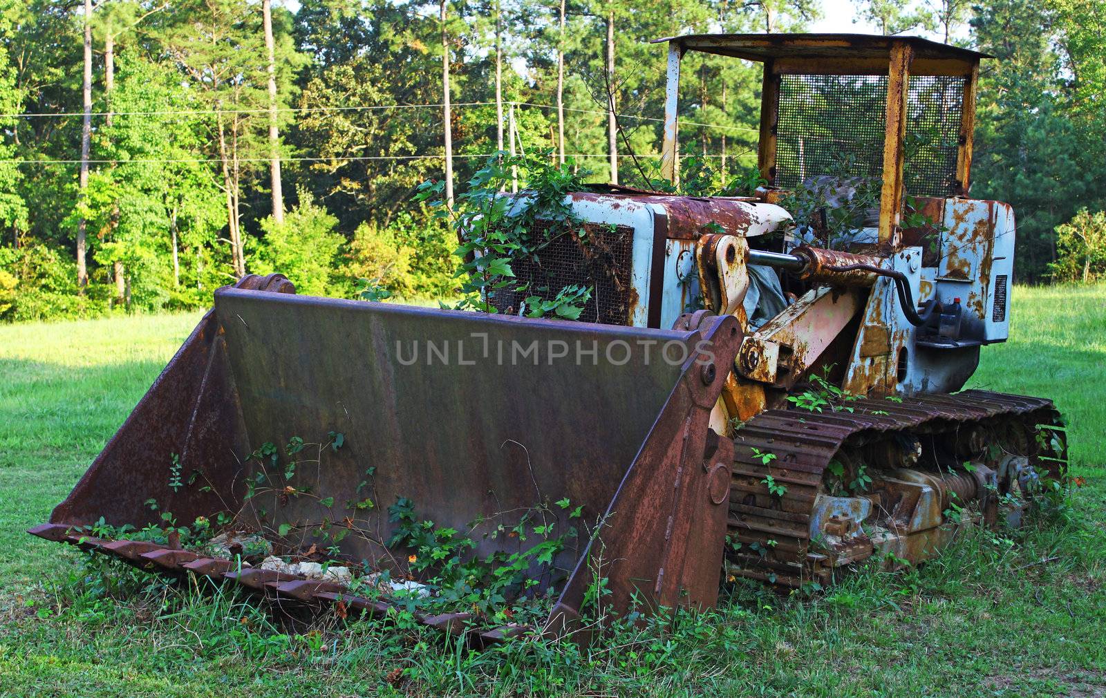 An antique vintage old and rusted weed and plant overgrown Bulldozer in a field outside.