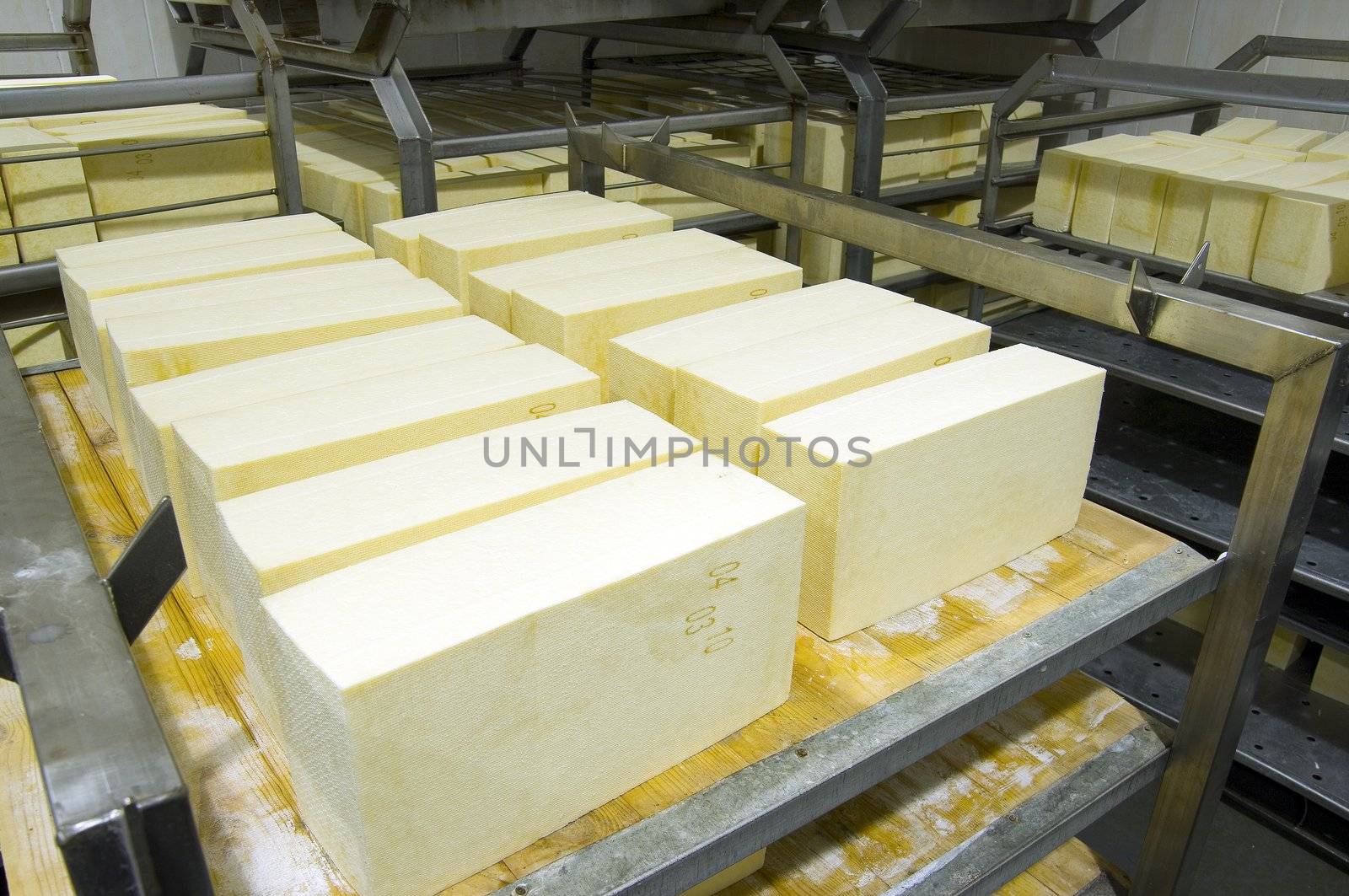 Industrial production of hard cheeses. Cheese is very tasty and healthy product