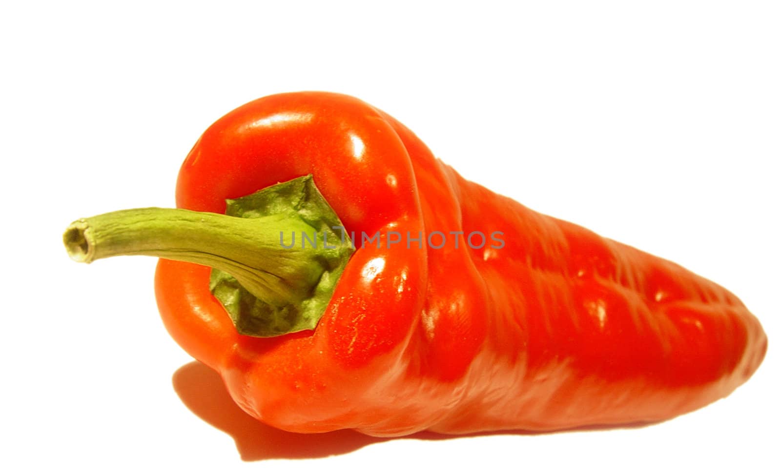 red pepper in white background