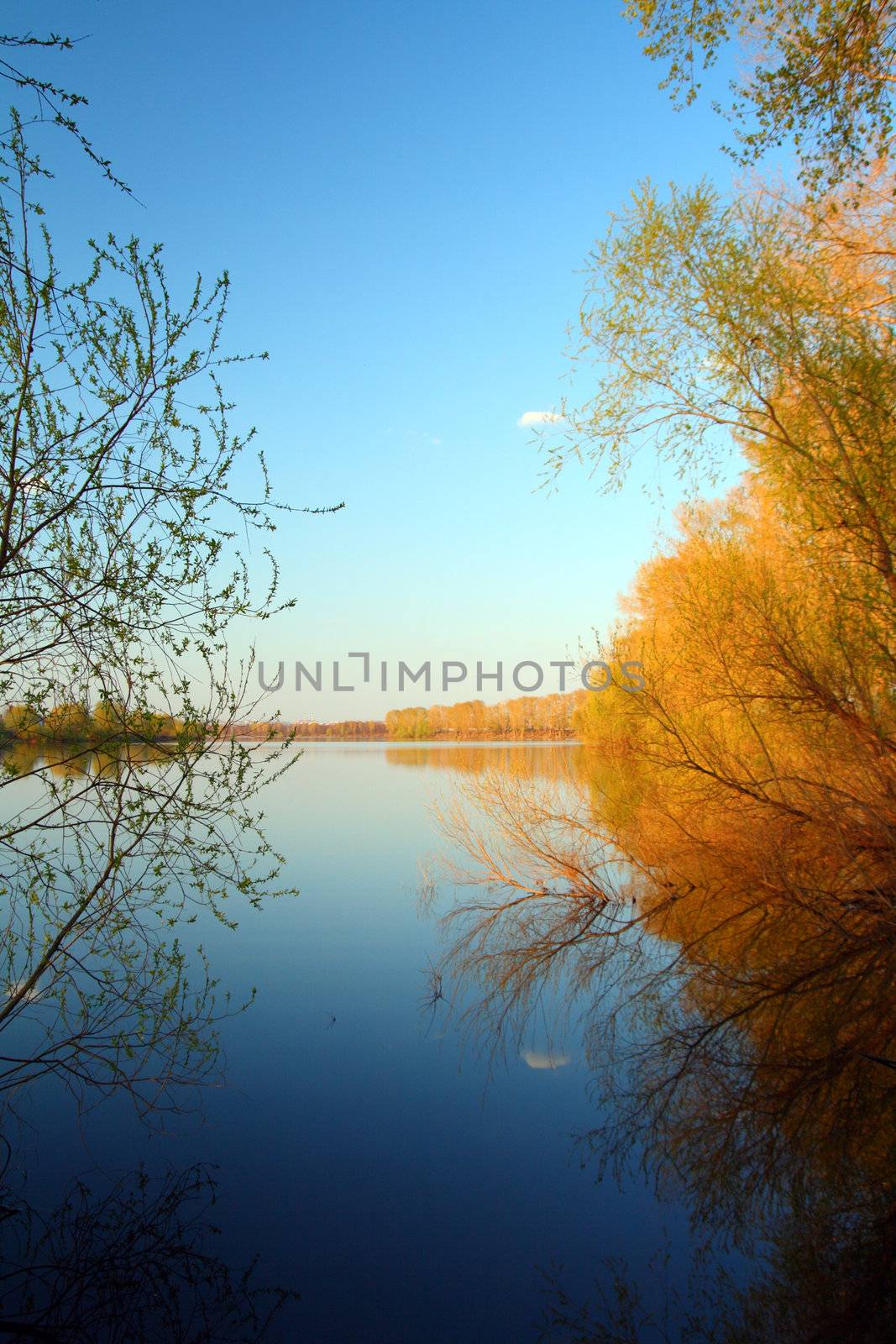 blue and yellow lake landscape by Mikko