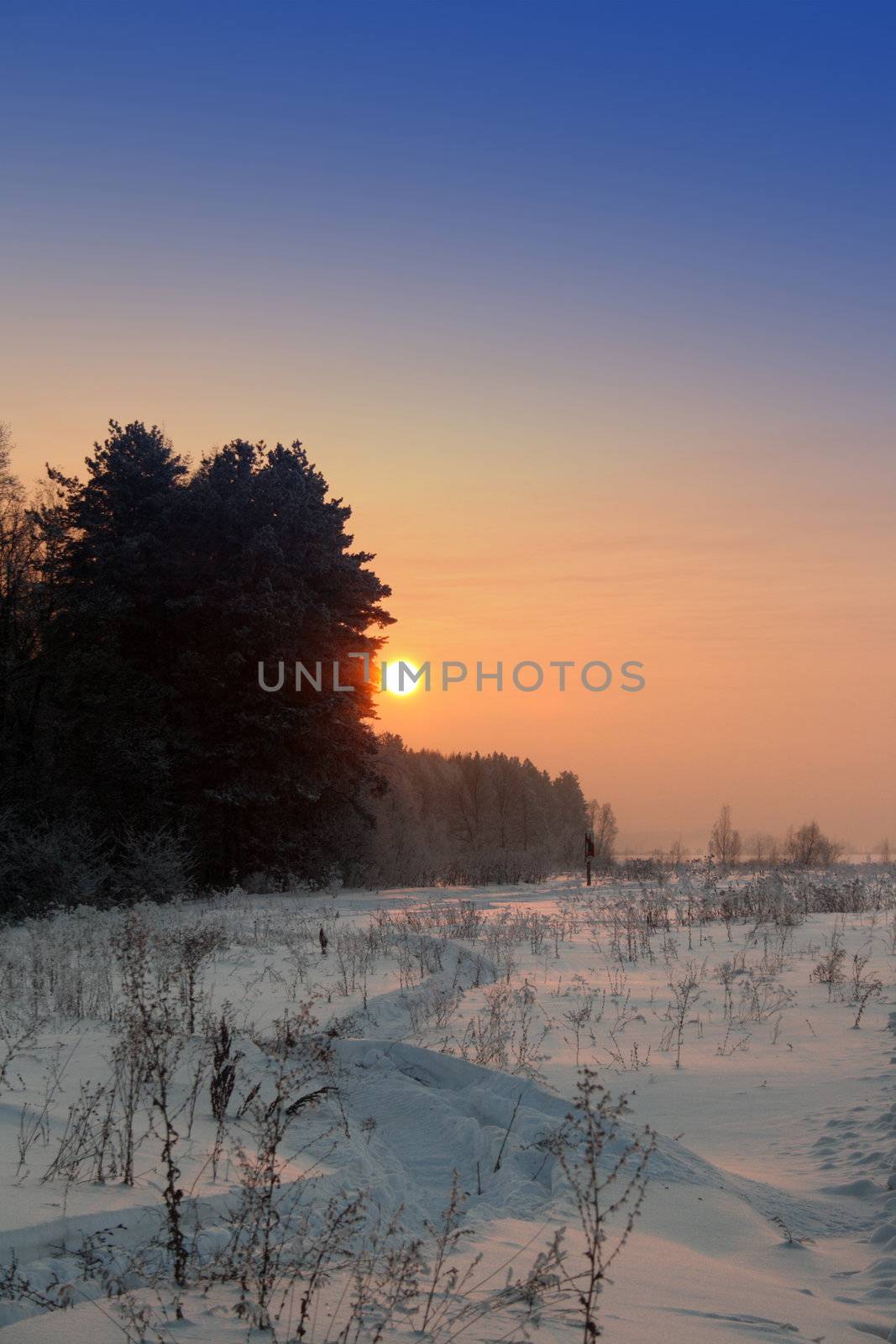 winter landscape with sunset in dusk