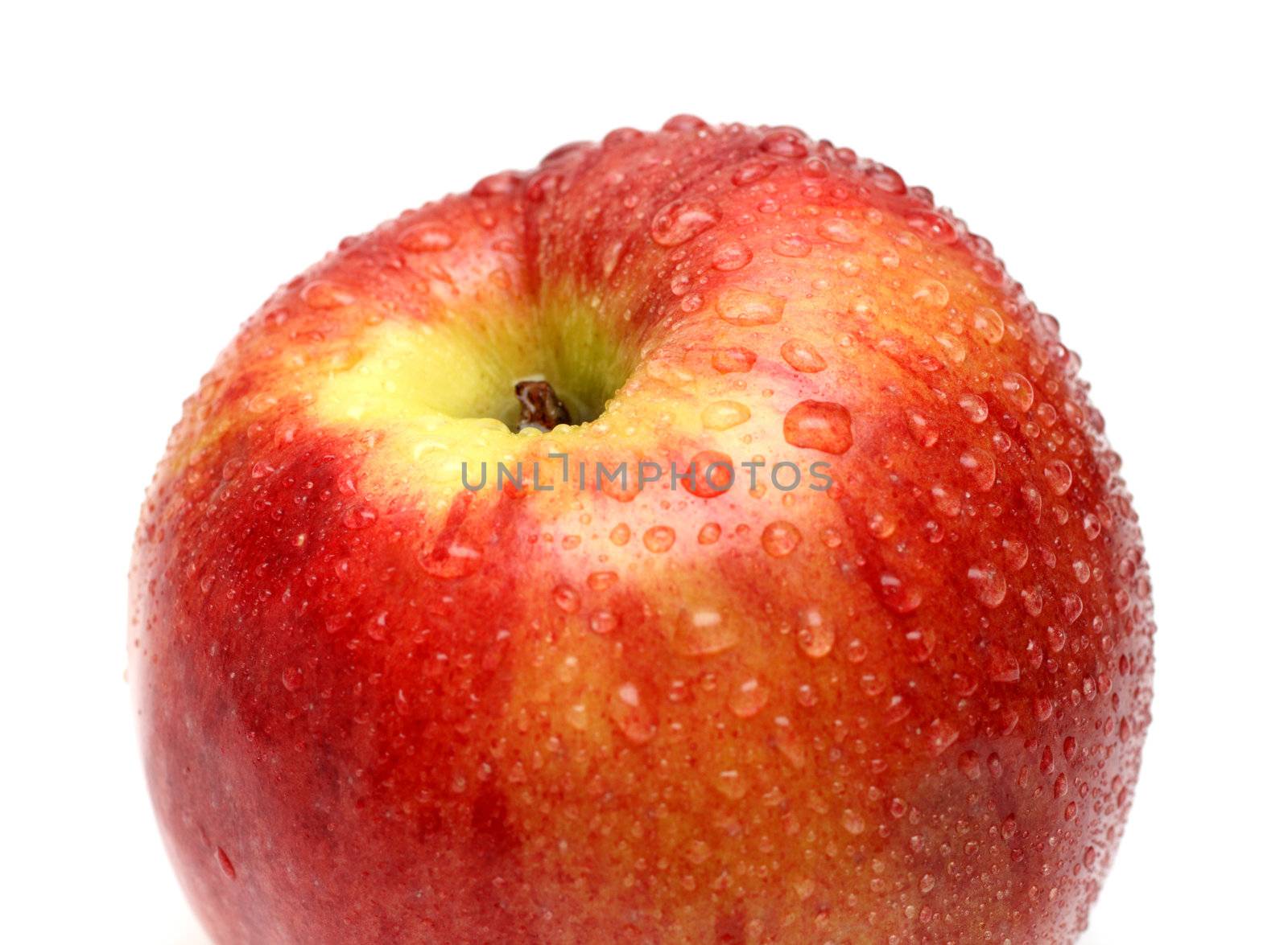 wet red apple with water drops close-up