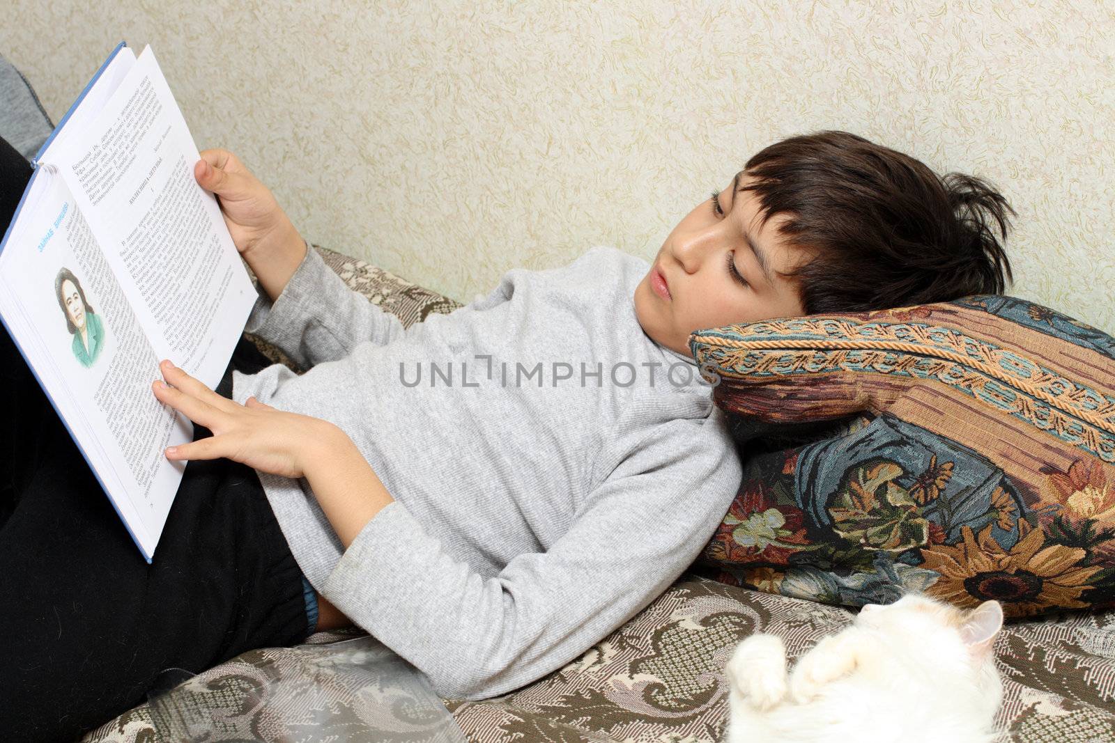 asian boy, lying on bed with cat, reading bok