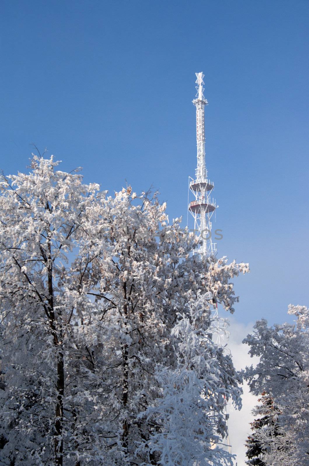 winter landscape with television antenna and trees