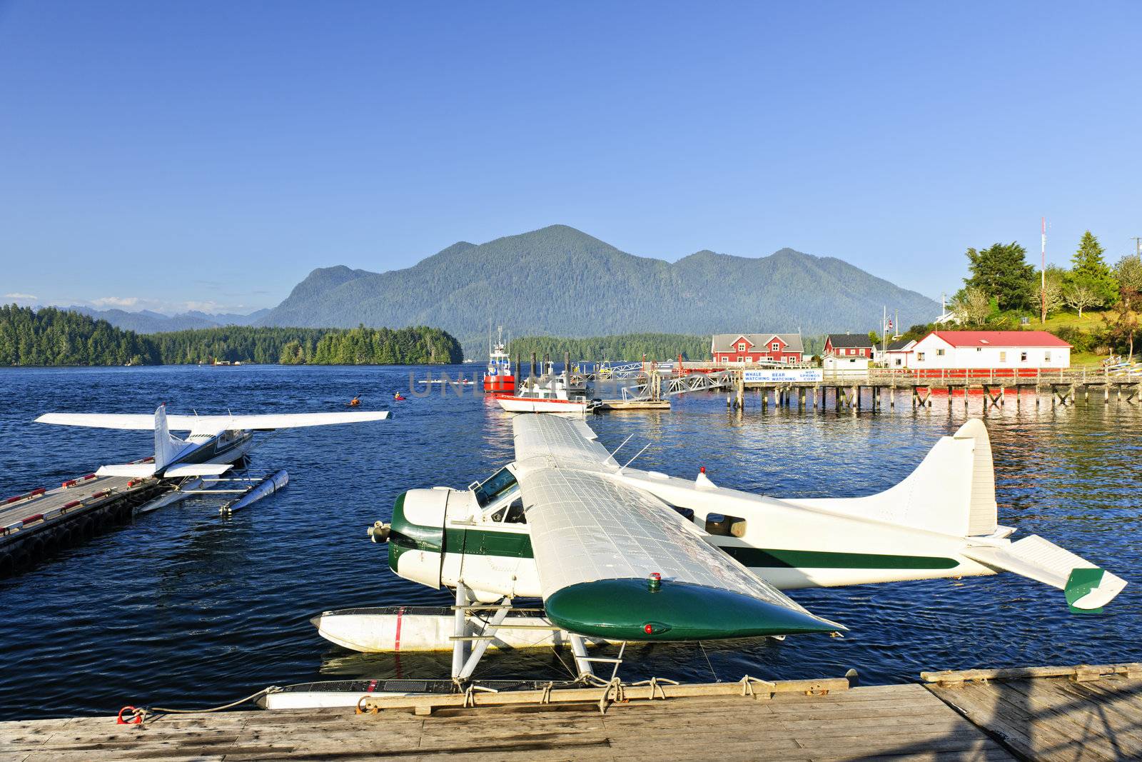 Seaplanes at dock in Tofino on Pacific coast of British Columbia, Canada