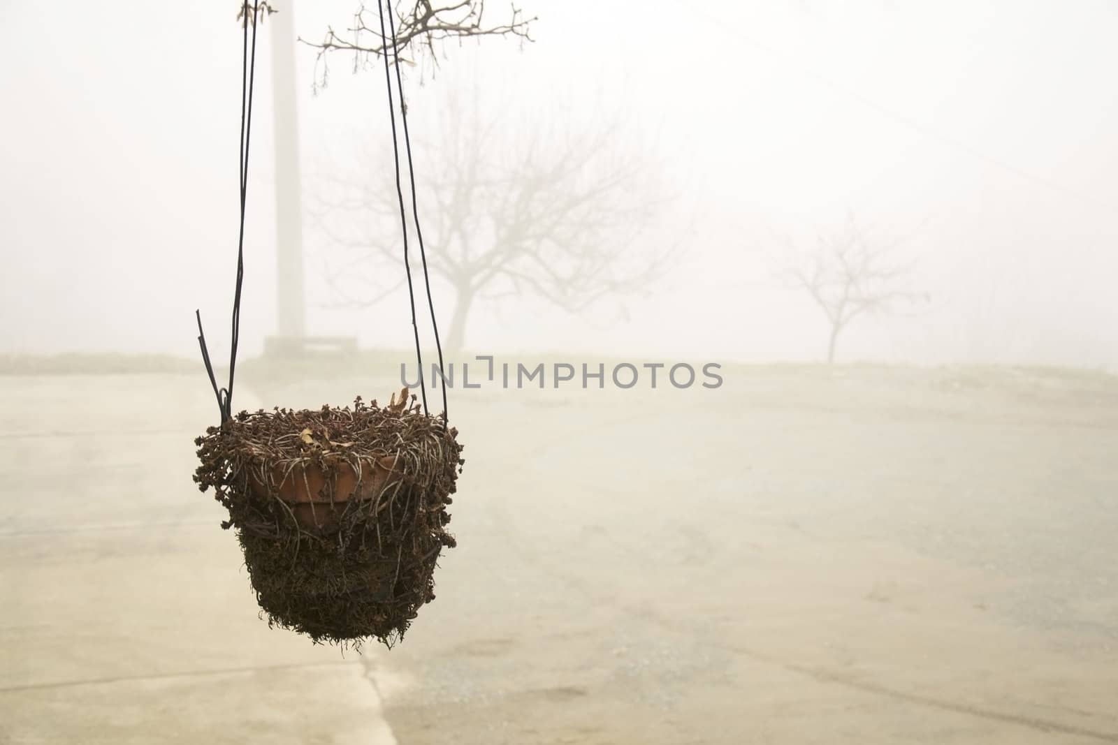 hanging pot in a foggy day in winter period.