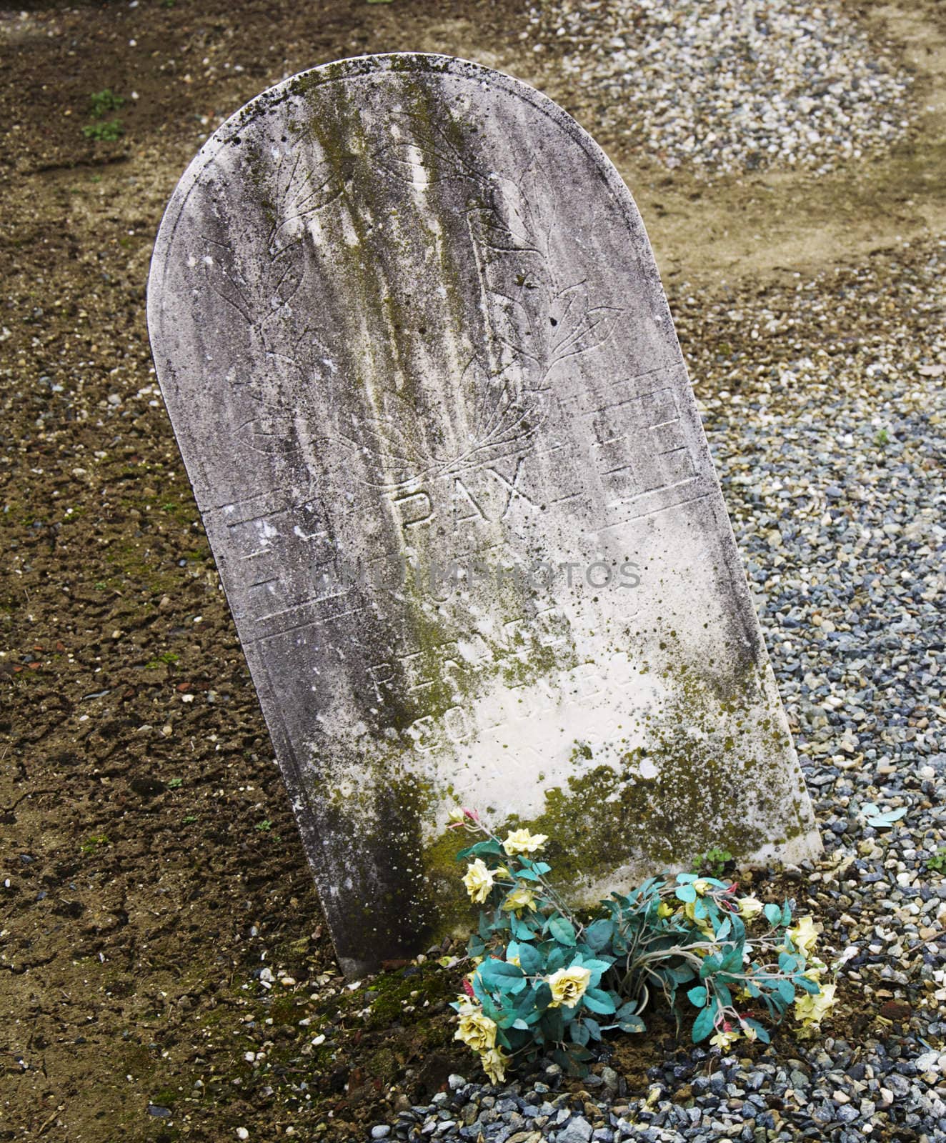 tombstone in an italian cemetery