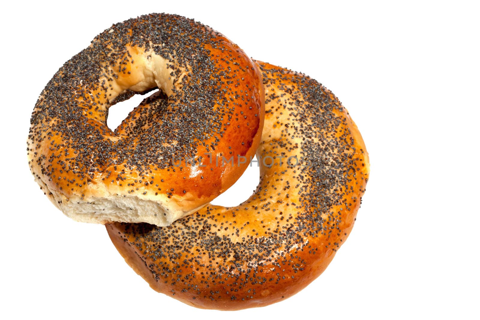 bagels with poppy seeds on white background by sfinks