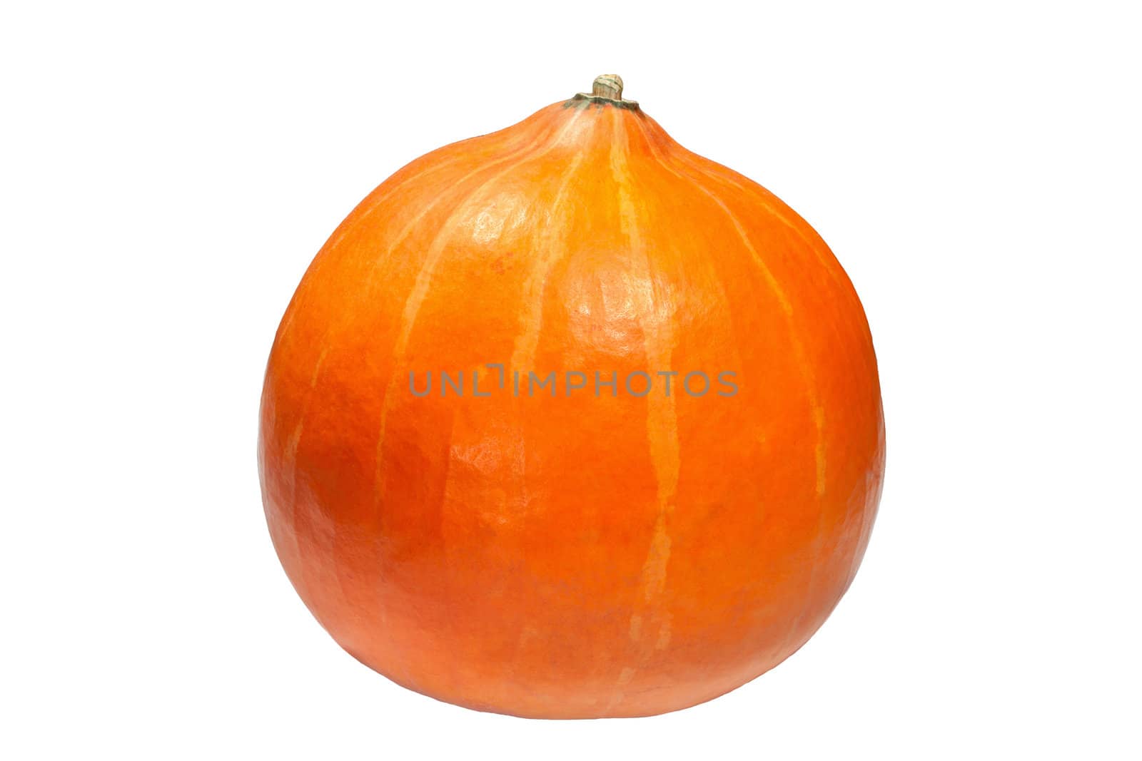 Ripe orange pumpkin isolated on white by sfinks