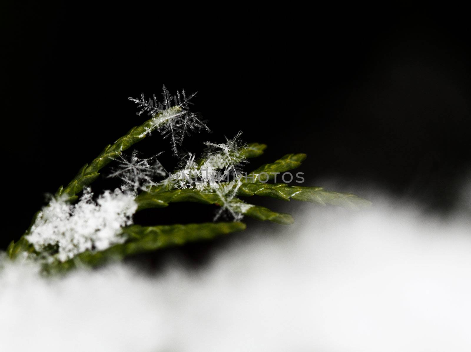 Close up, macro of snow with crystals in good view