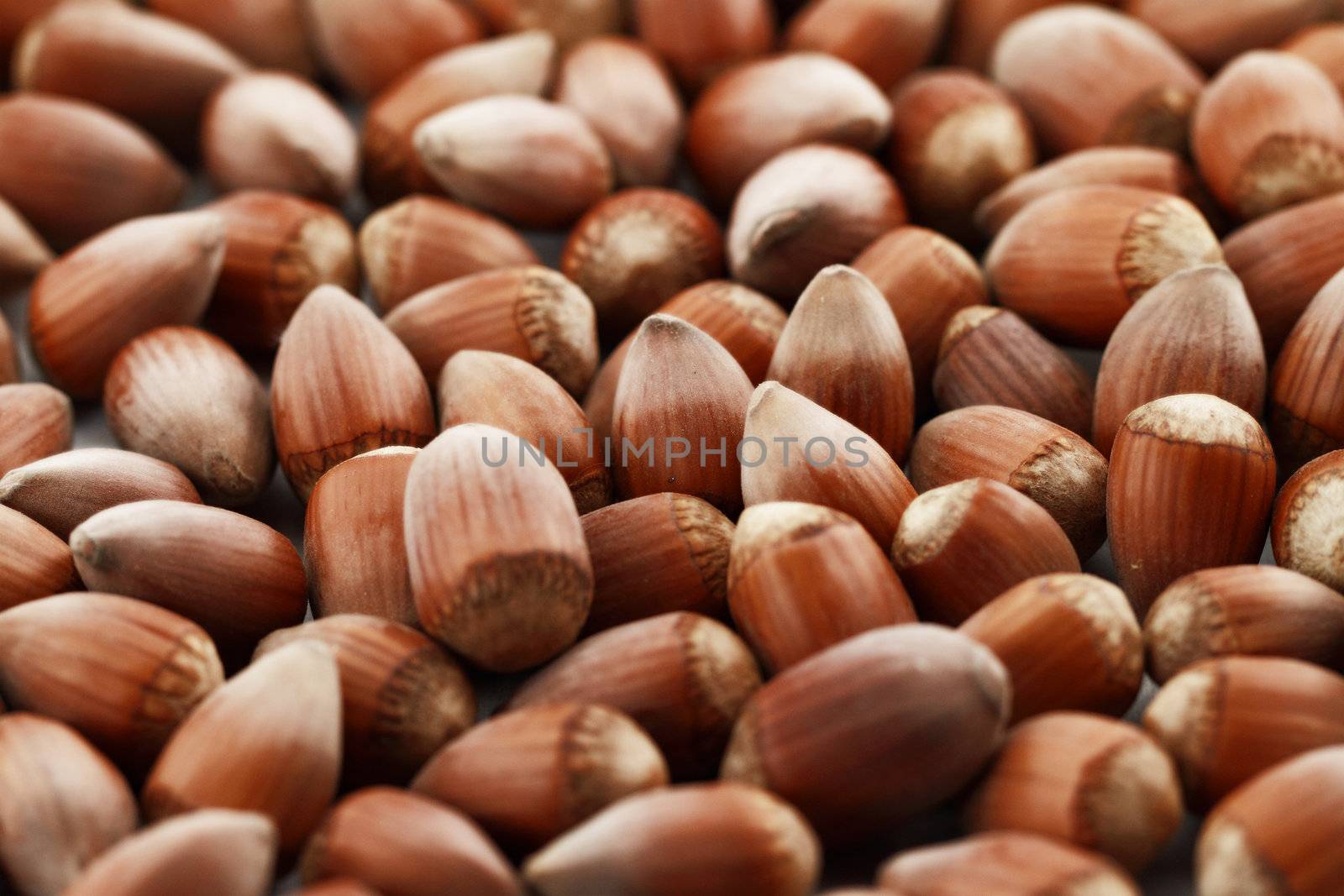 Hazelnut close up isolated (background)