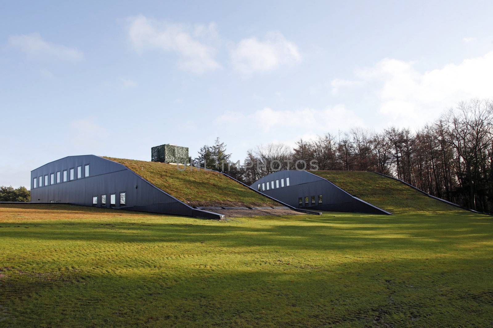 Two green roofs in The Netherlands