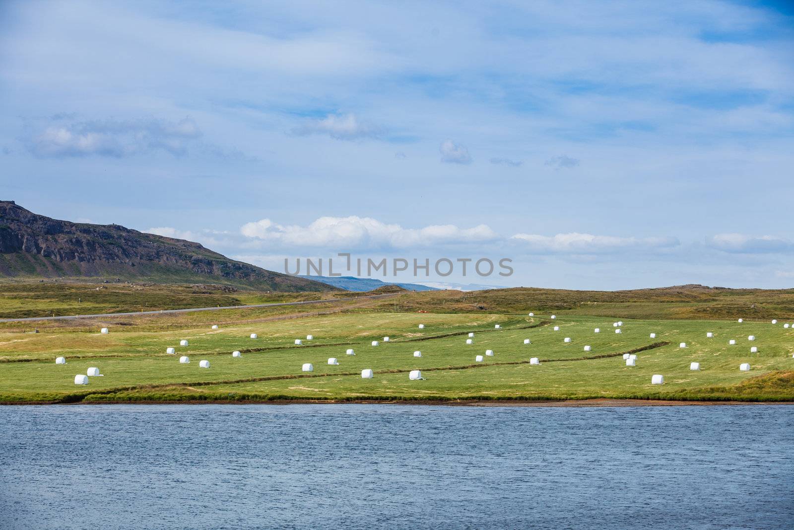 Hay bales in white plastic on the meadow. Iceland
