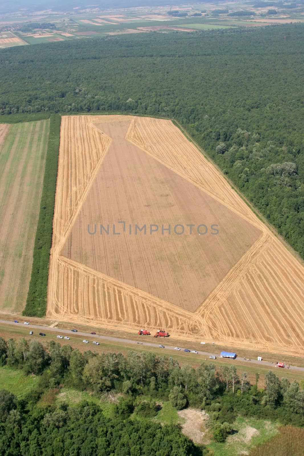 Aerial View: Golden Wheat field