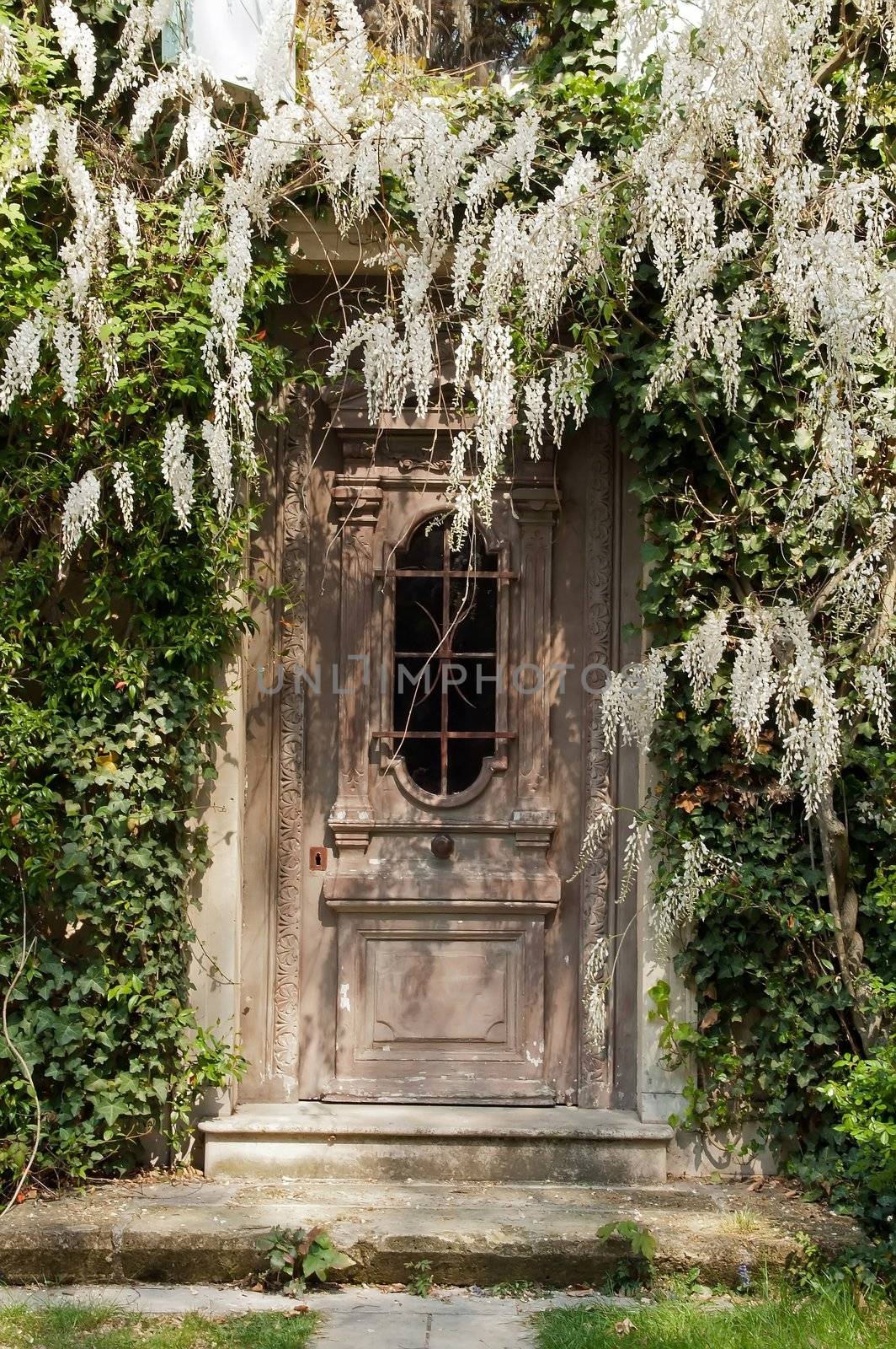 door at the wisteria on an old mansion