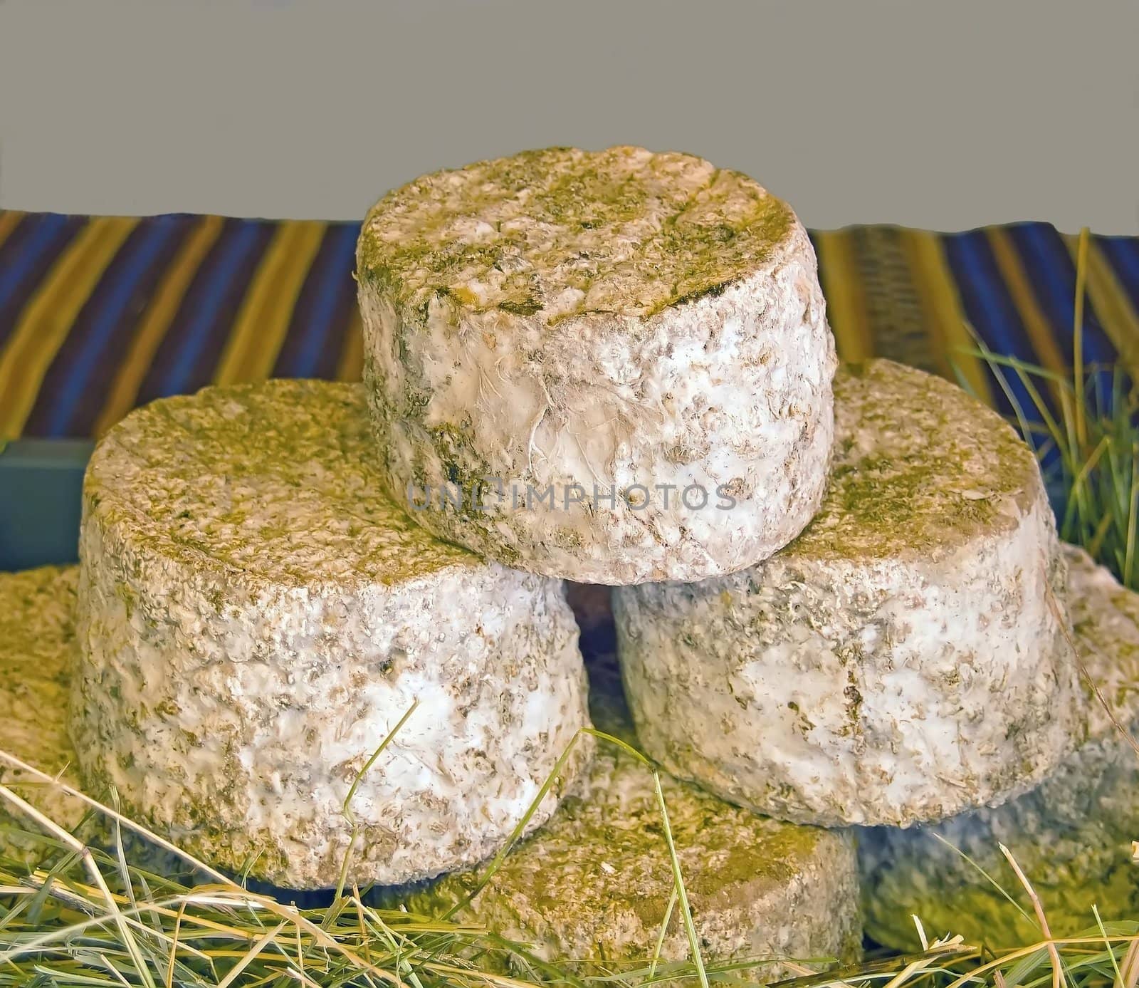 sale of cheese on a market in France, his name: tome de vache