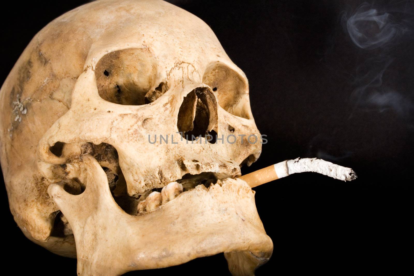 Human skull with burning cigarette. Isolated on a black background.